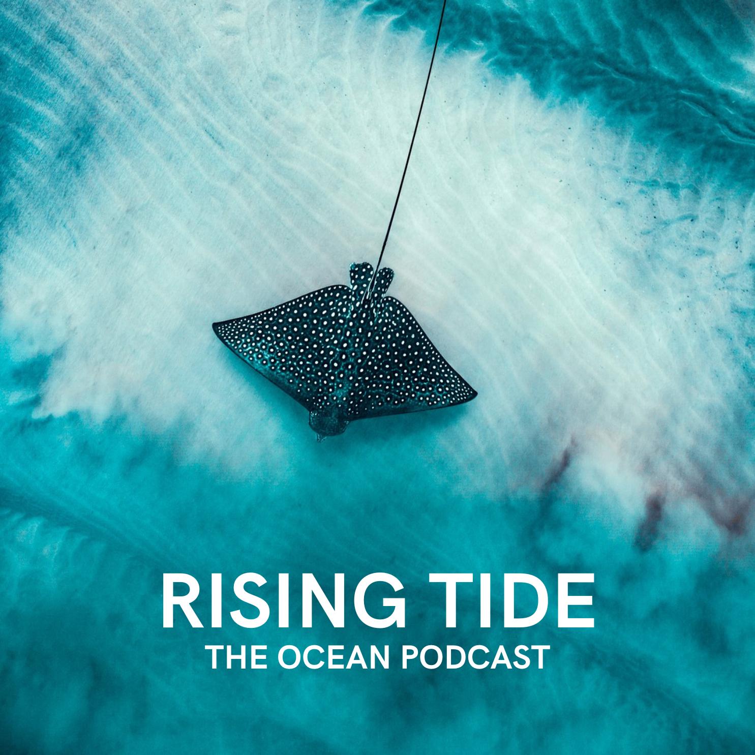 Blue News and Great Diving with Rep. Huffman & Tiani Dun