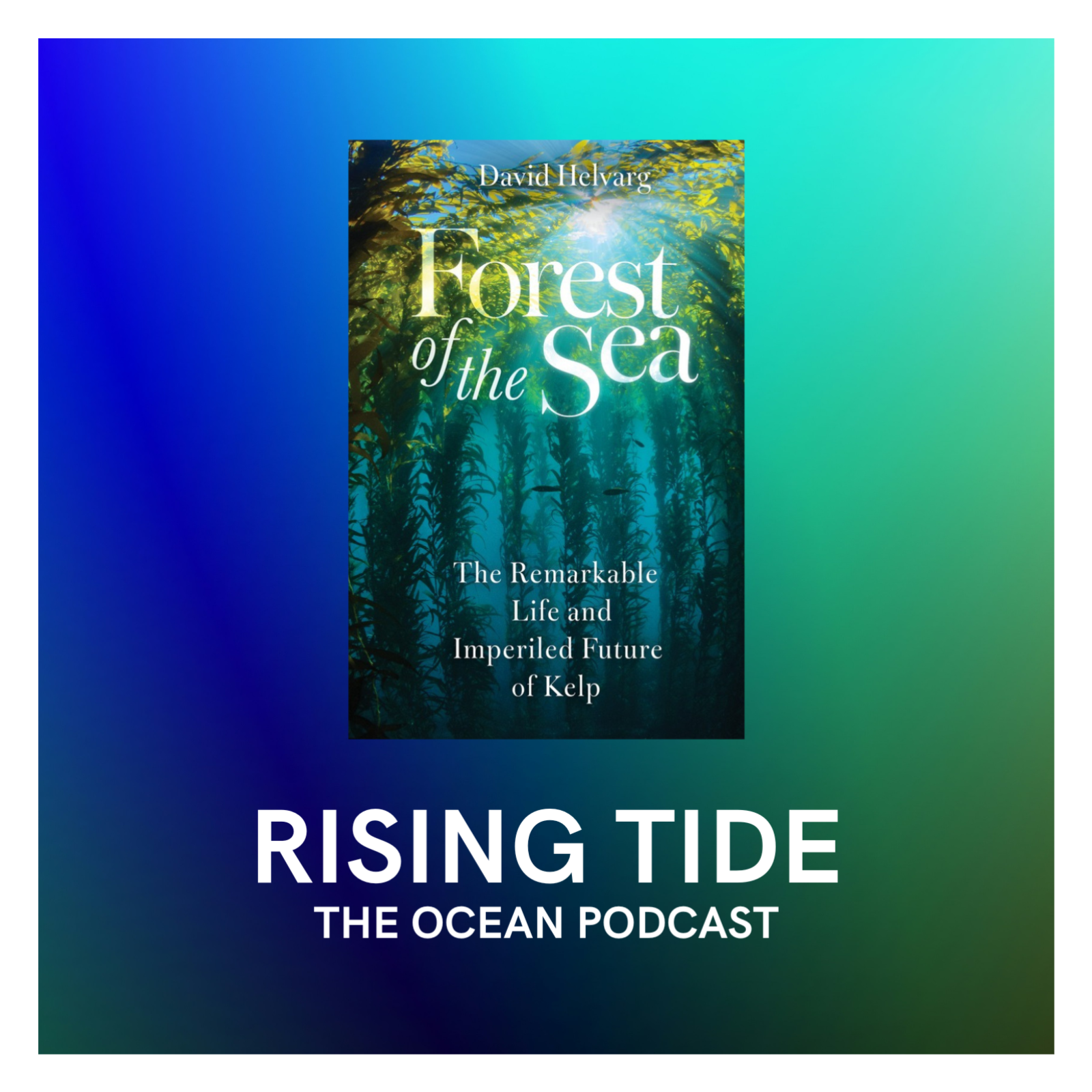 Helvarg on the ‘Forest of the Sea’ episode artwork