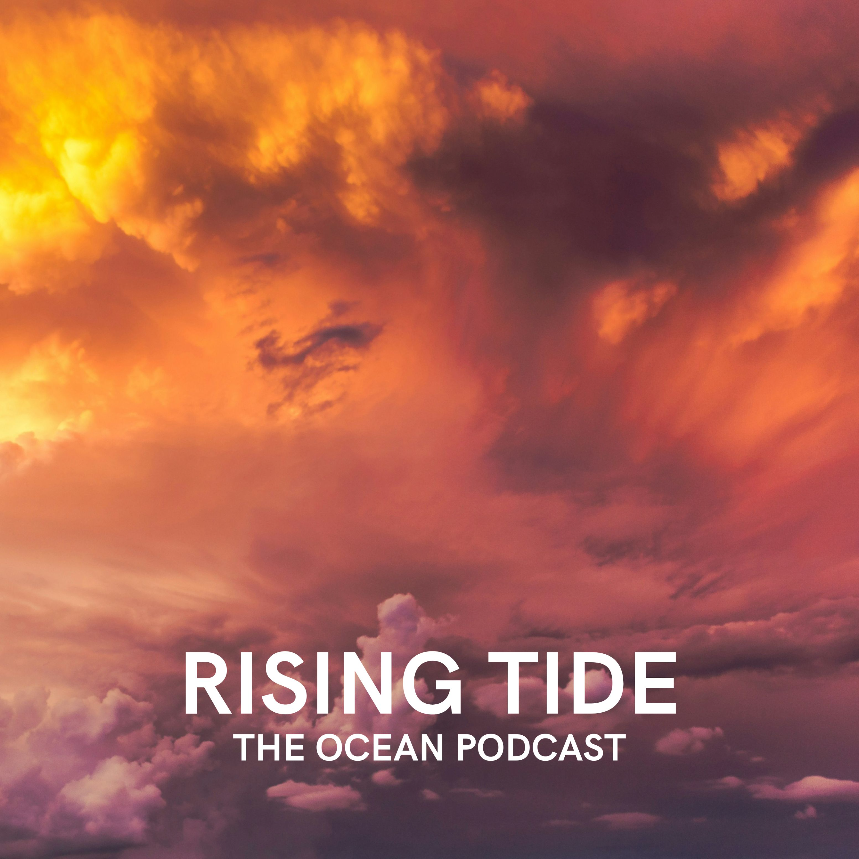 Daniel Swain does more than Predict the Weather episode artwork