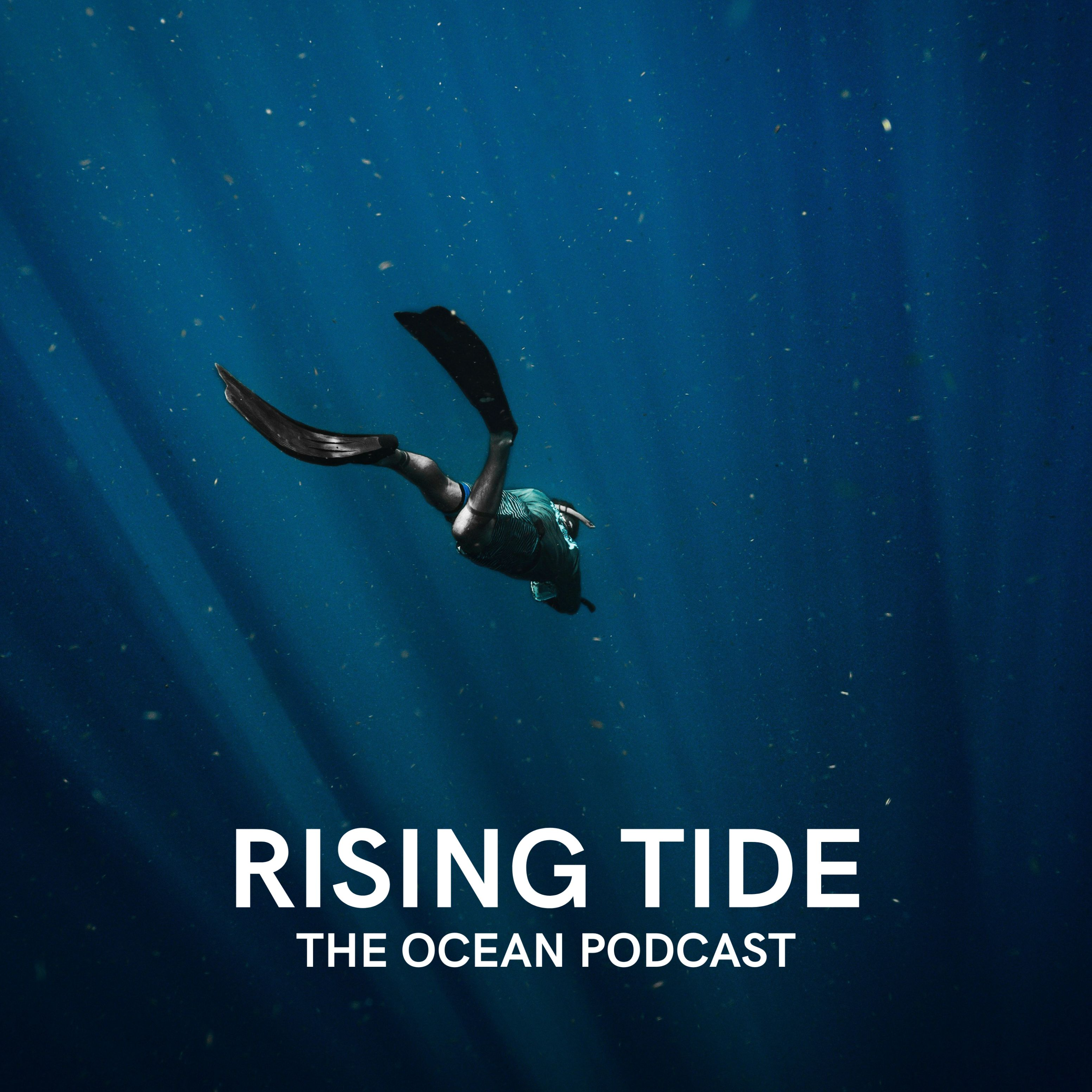 Diving in with Dive shop Owner Natalie Shuman episode artwork