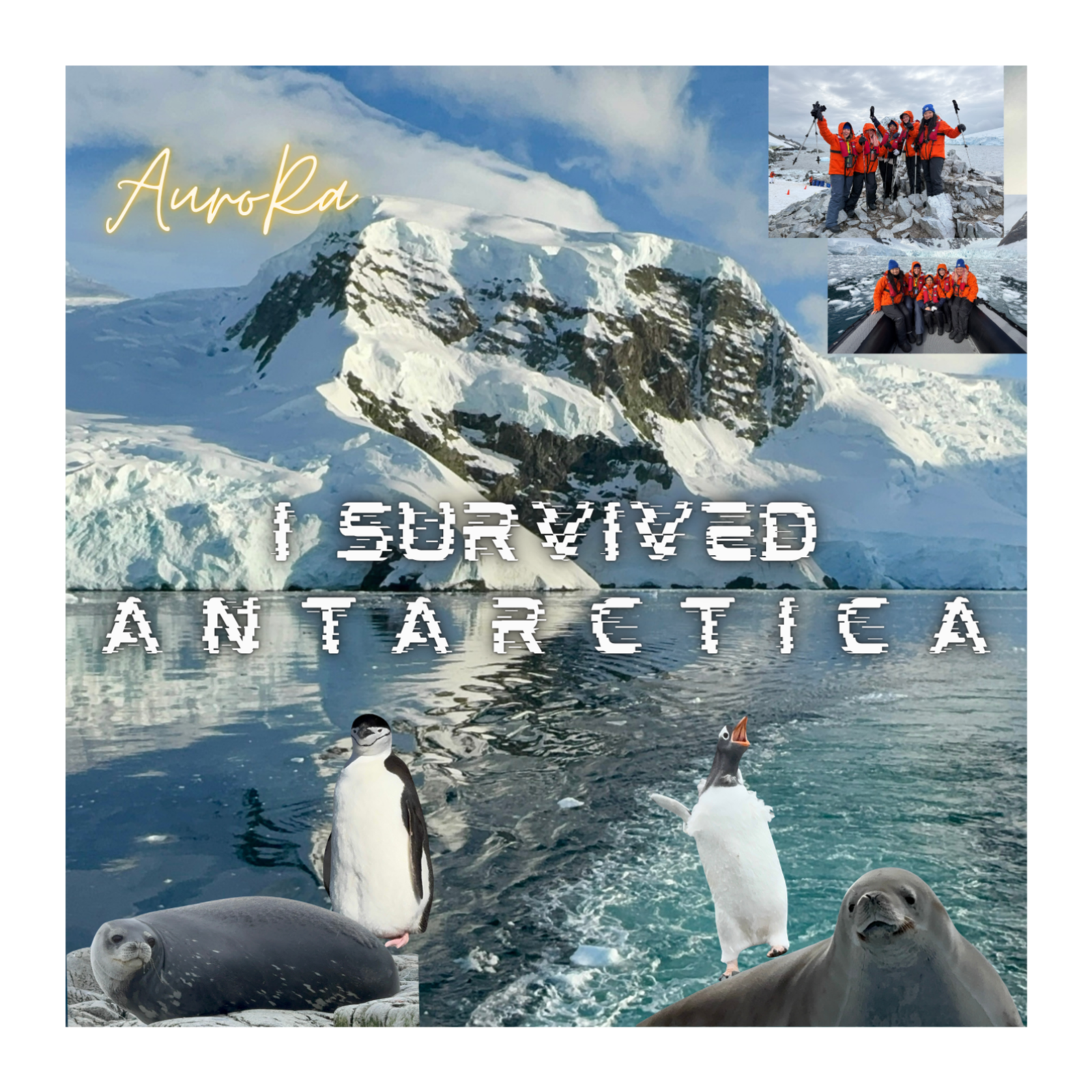 I SURVIVED ANTARCTICA | My Journey To & From The RESTRICTED Lands of Antarctica Ep 5 episode artwork