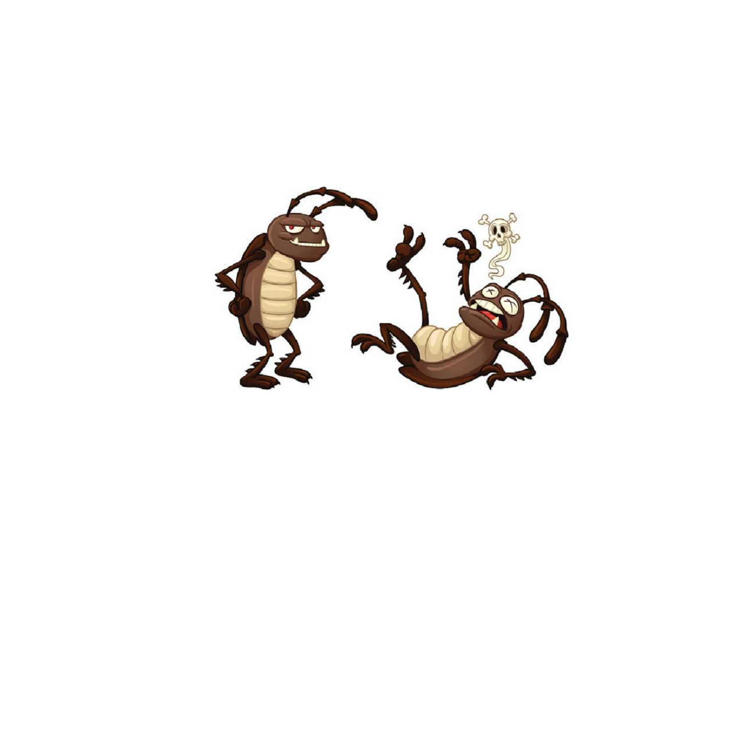 German Cockroaches