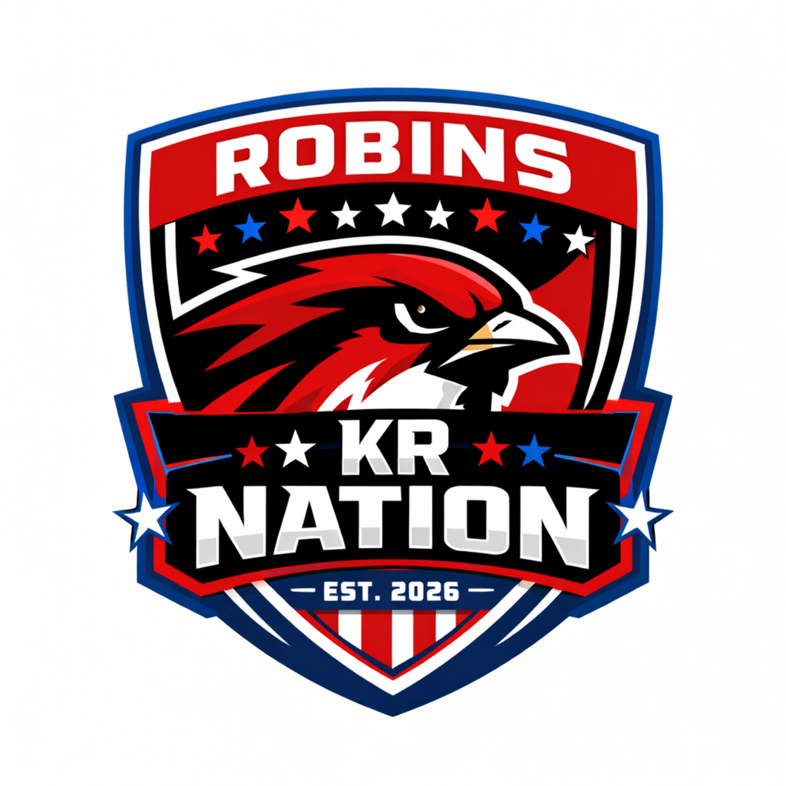 Robins KR Nation cover art