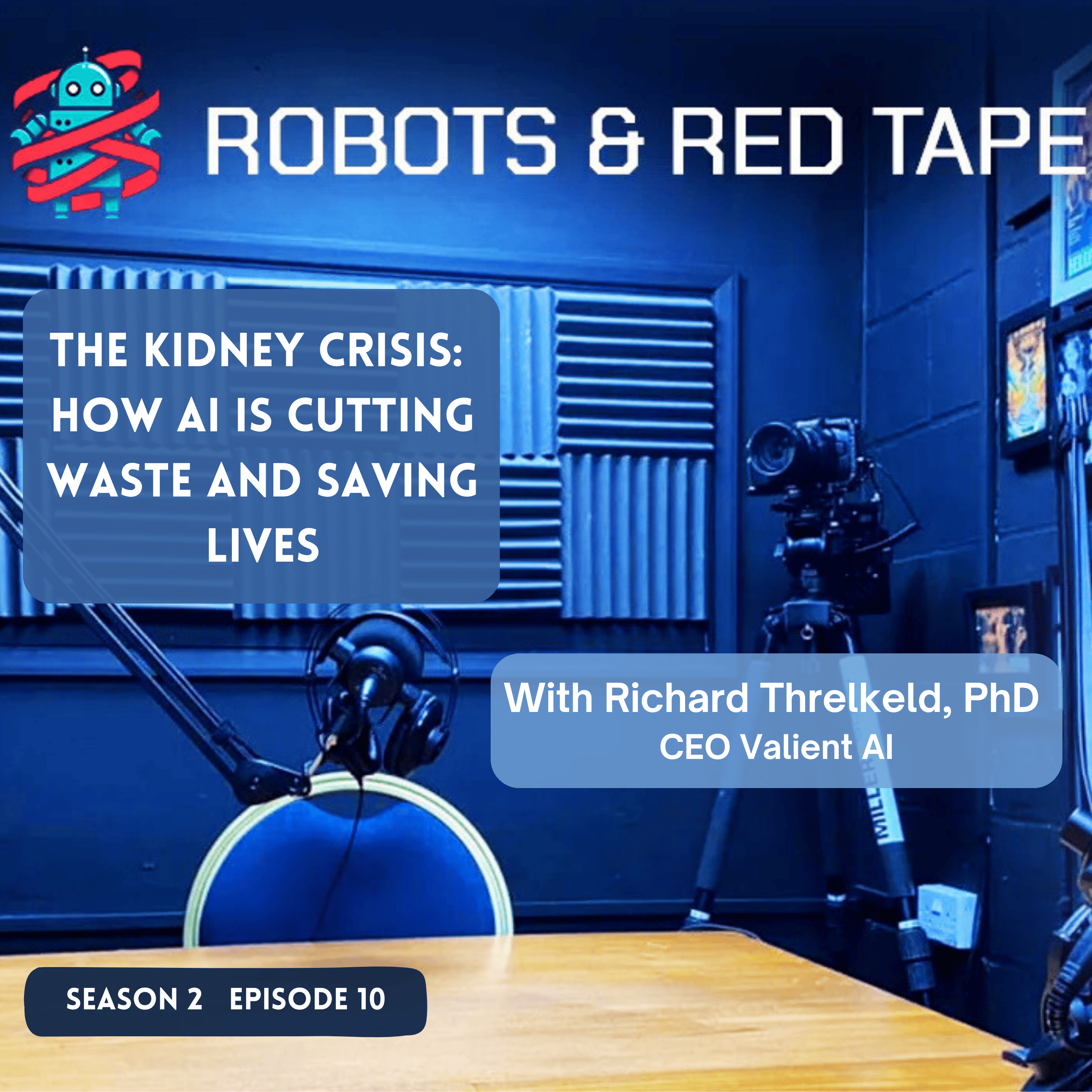 Robots and Red Tape
