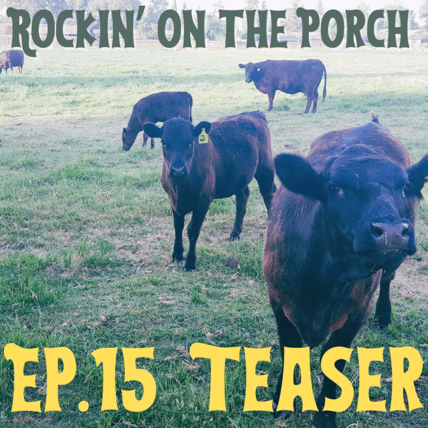 Ep.15 Squeak When You Squirt Teaser episode artwork