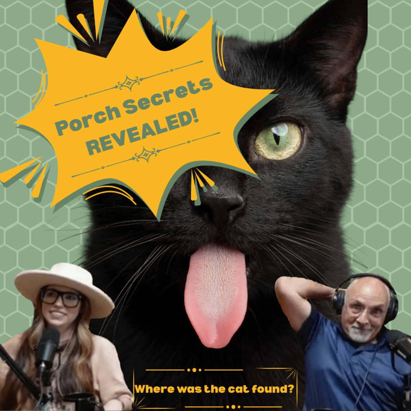 [Ep.91] Fake Blood Fiascos & Porchside Pranks — Did That Cat Just Meow?! episode artwork