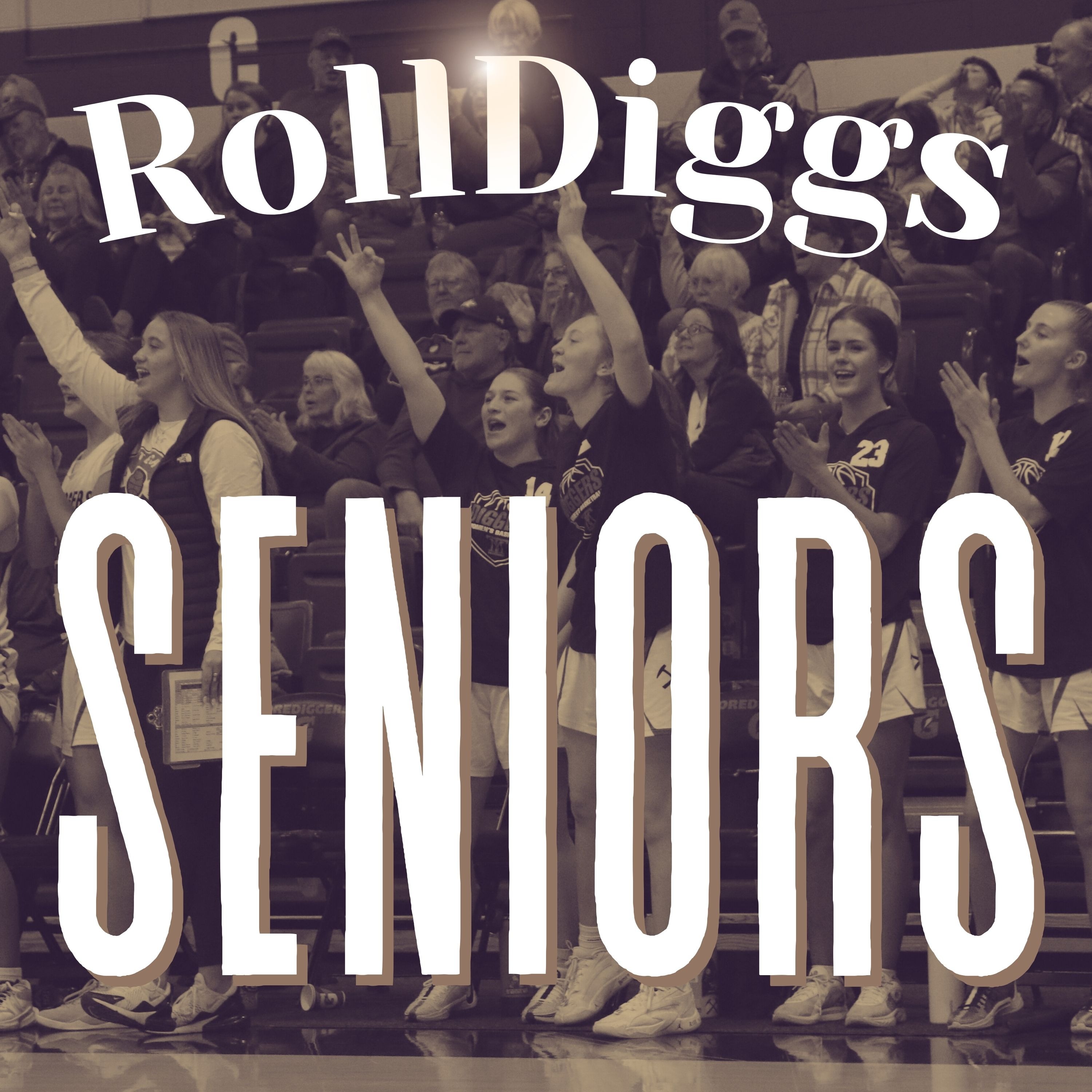 RollDiggs