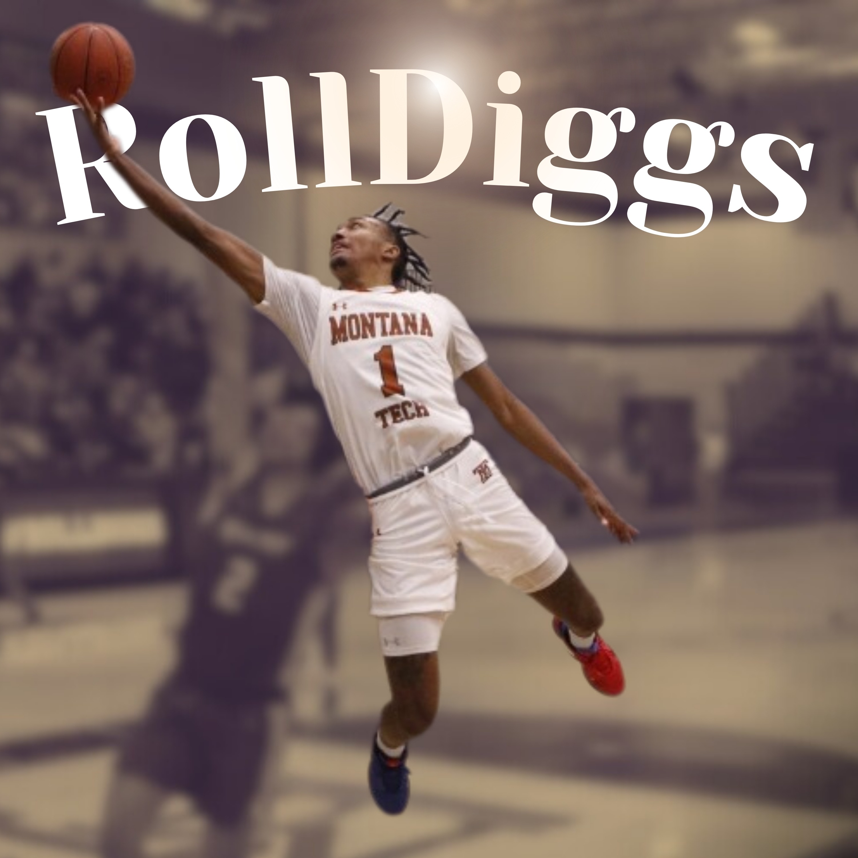 RollDiggs