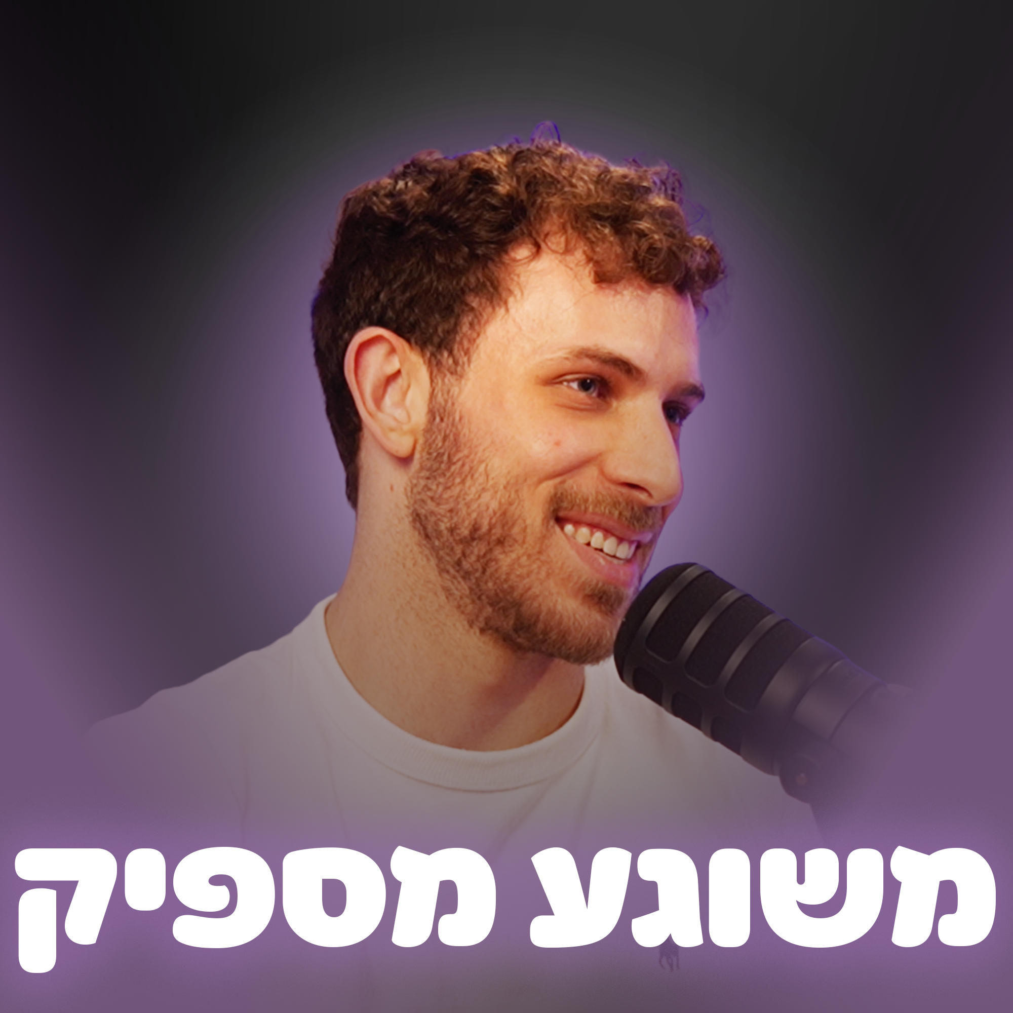משוגע מספיק cover art