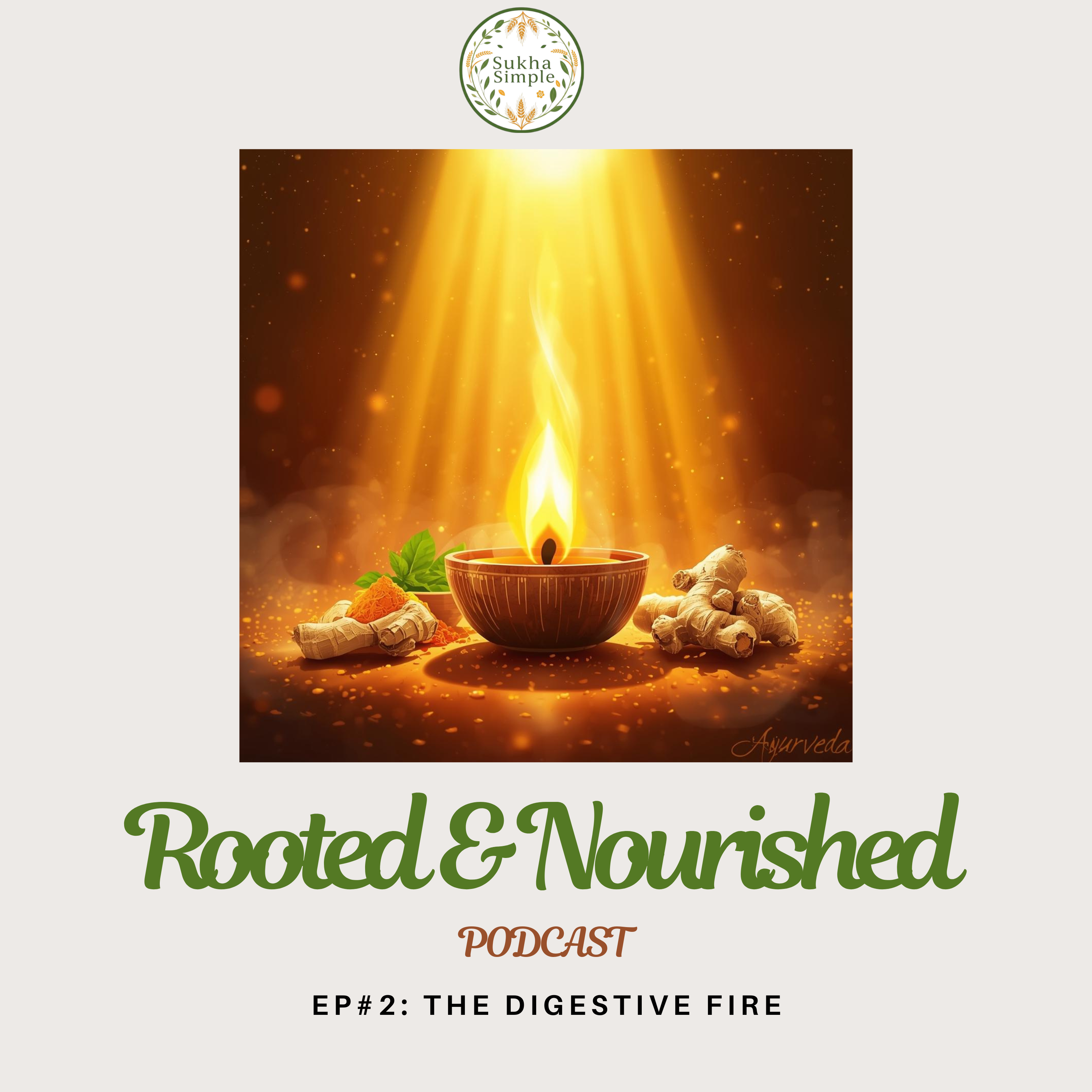Episode 2: The Digestive Fire — Why How You Eat Matters More Than What You Eat episode artwork