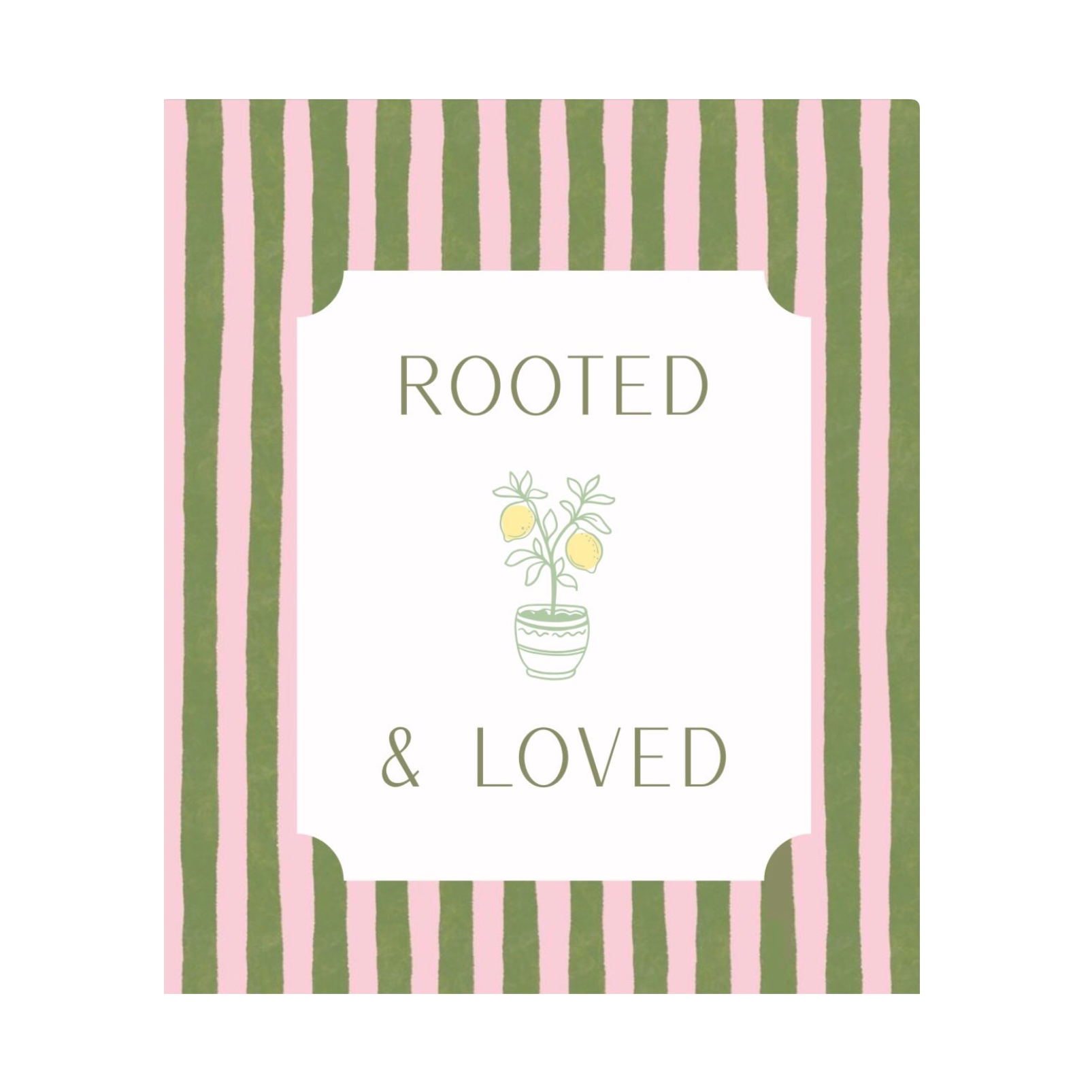 Rooted & Loved
