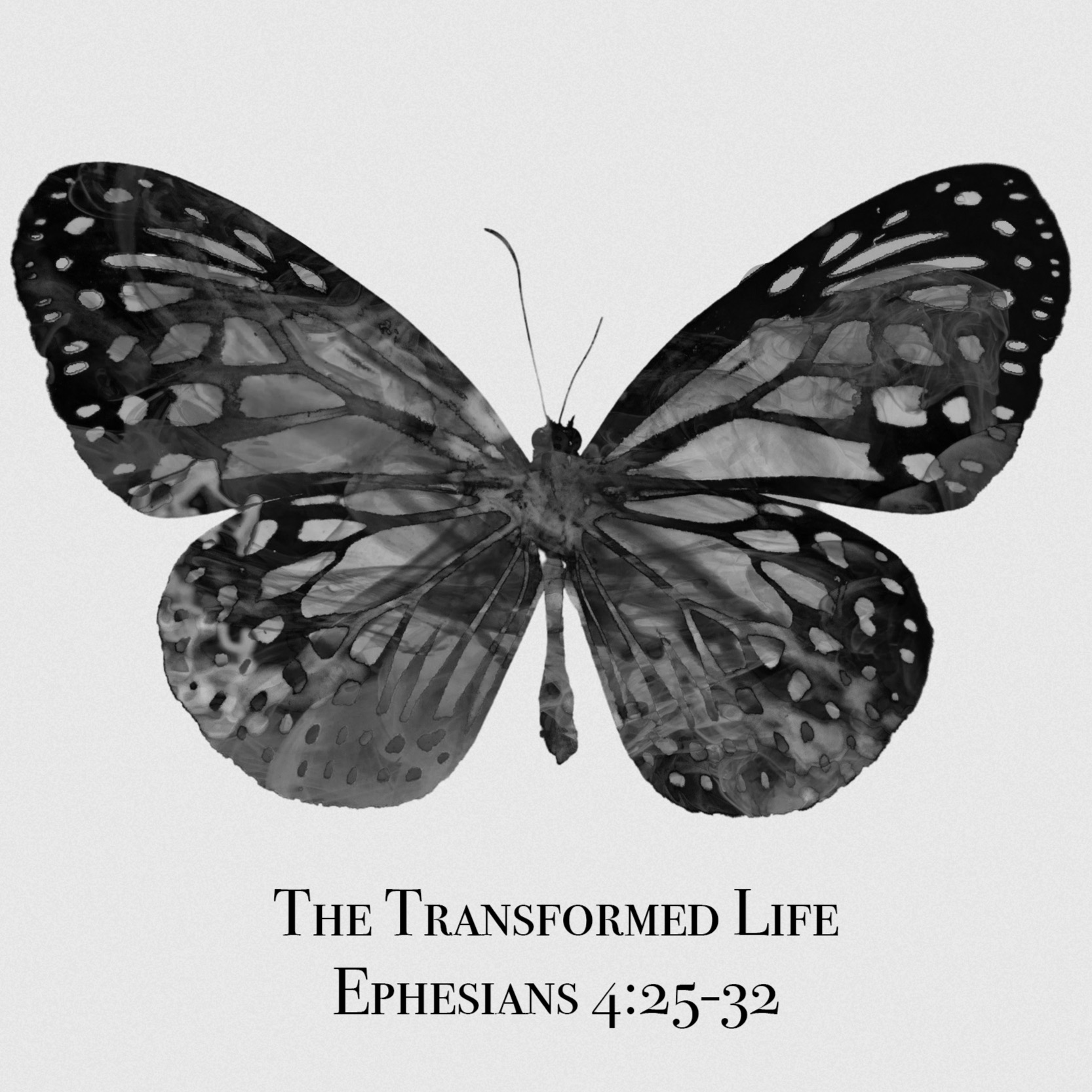The Transformed Life episode artwork
