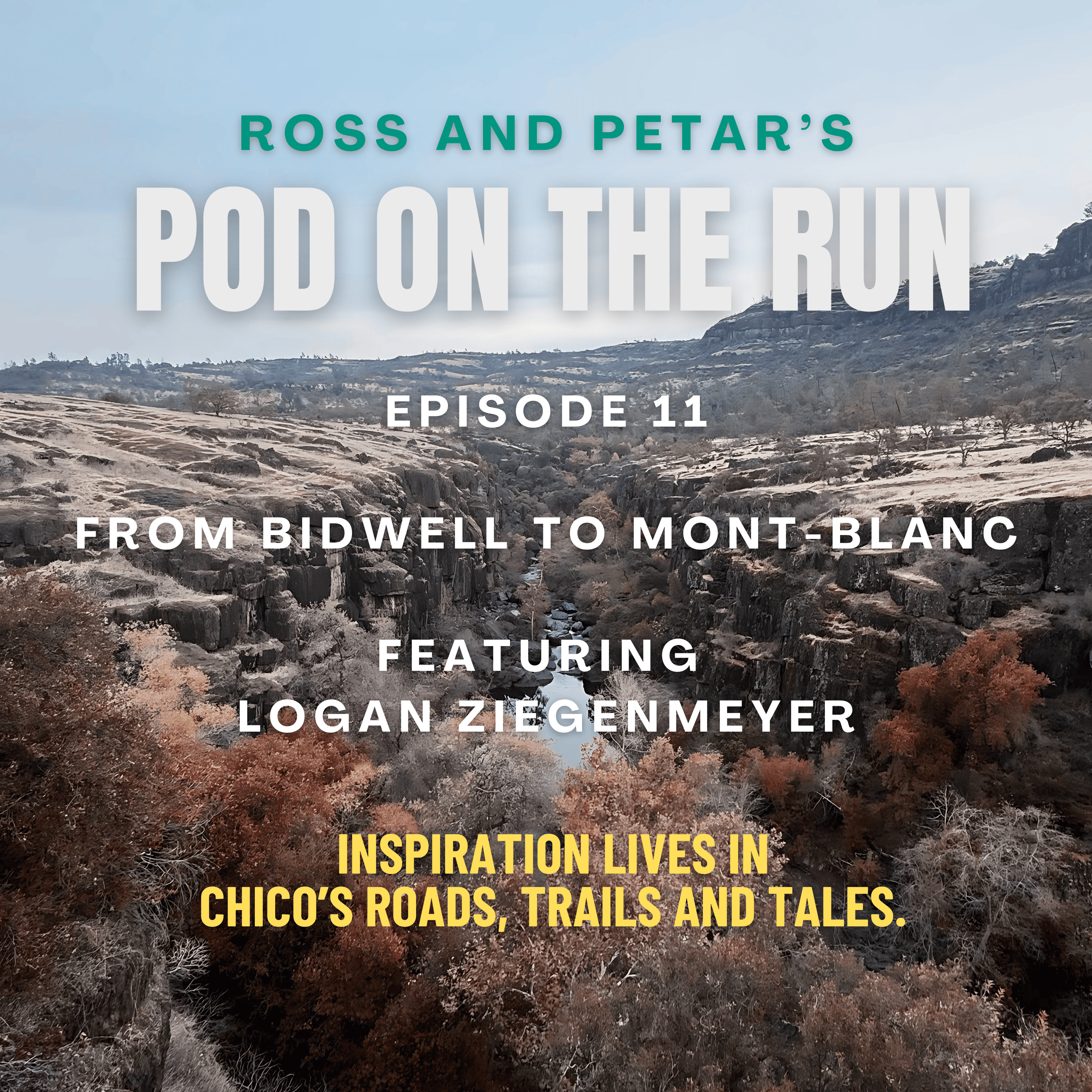 Ross and Petar\'s Pod on the Run