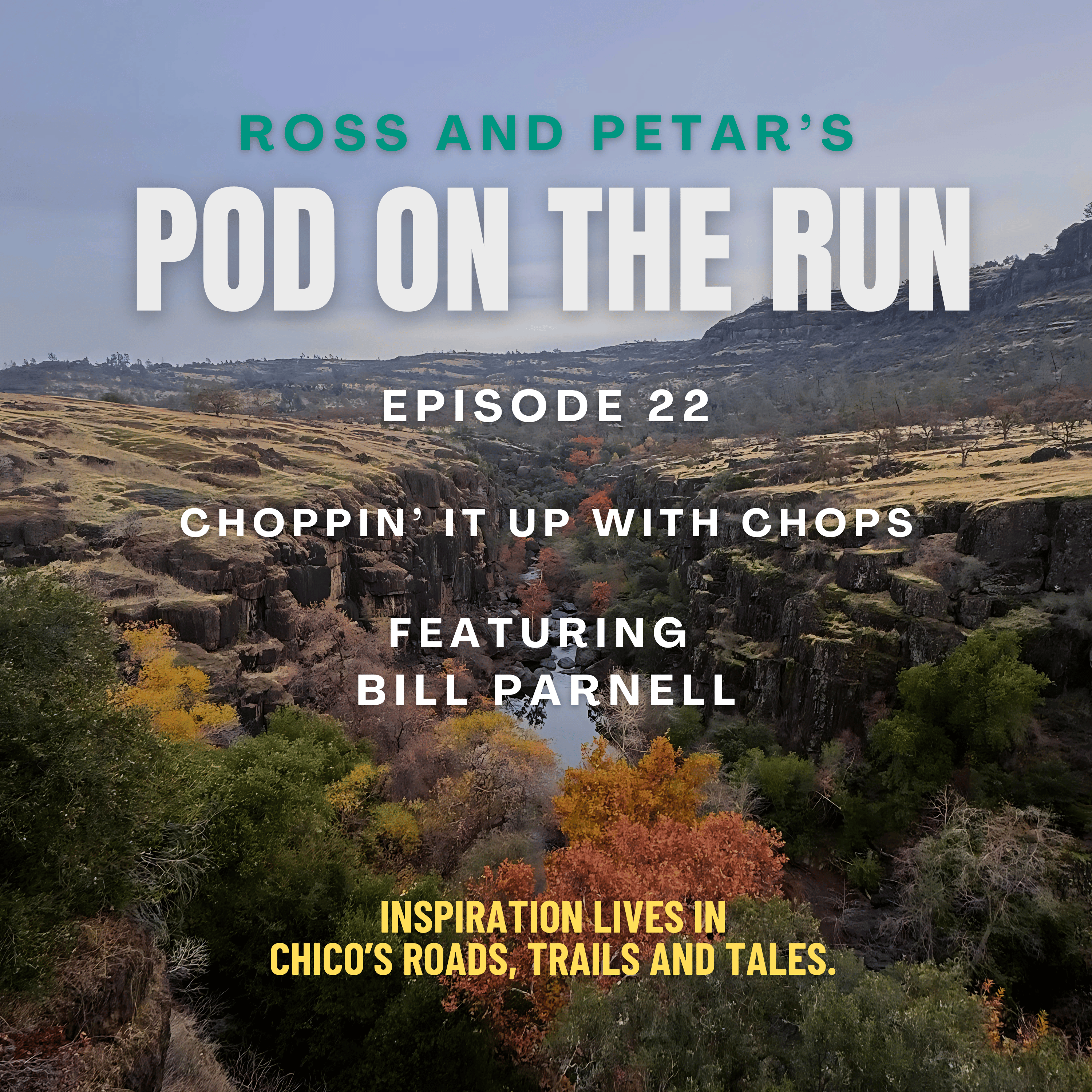 Ross and Petar\'s Pod on the Run