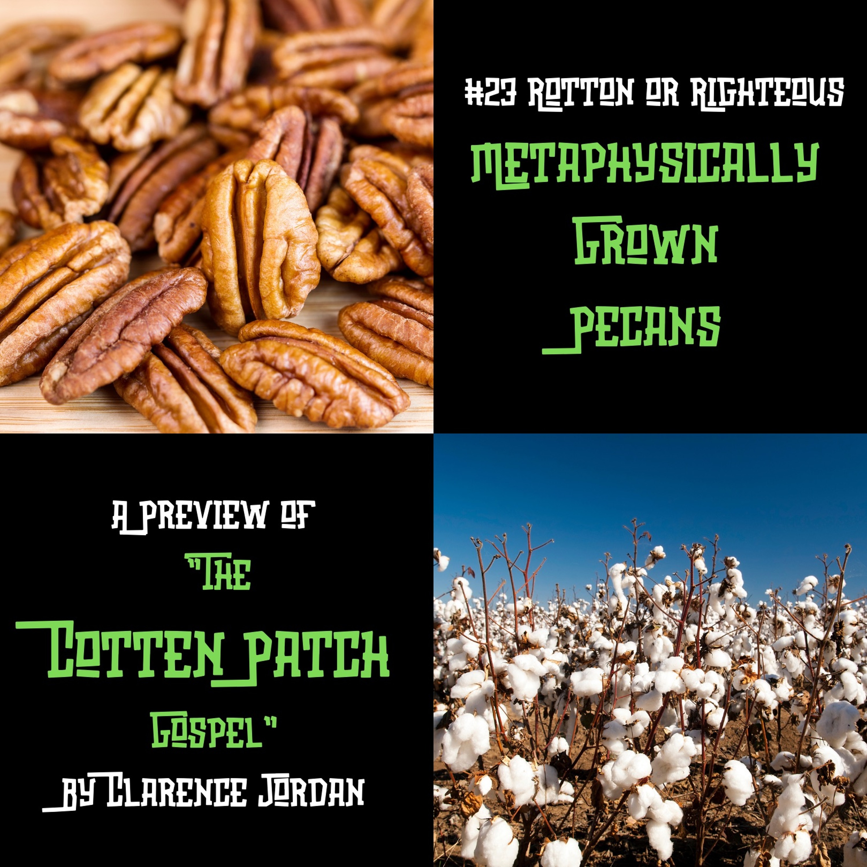 Rotten or Righteous
