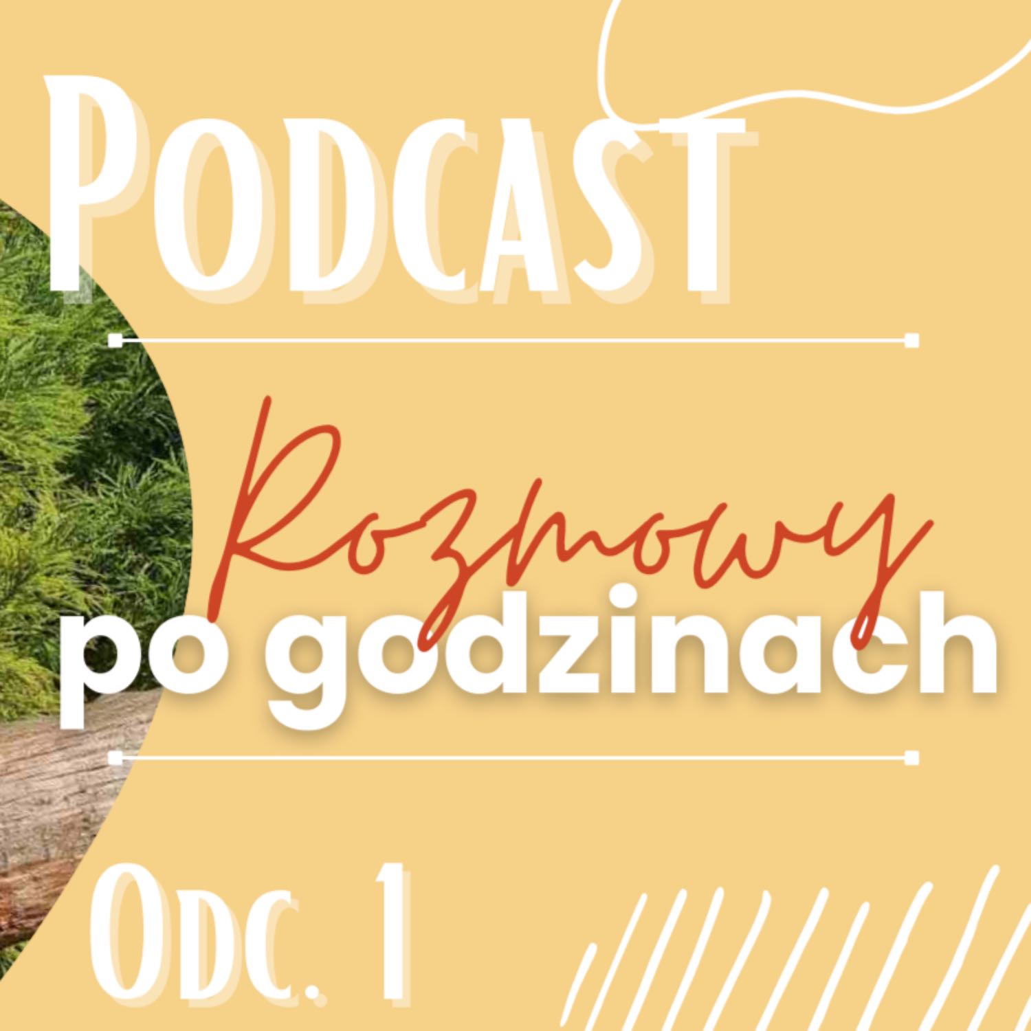 PODCAST *rozmowy po godzinach* Odc.1 Poznajcie mojego męża + skąd się znamy episode artwork