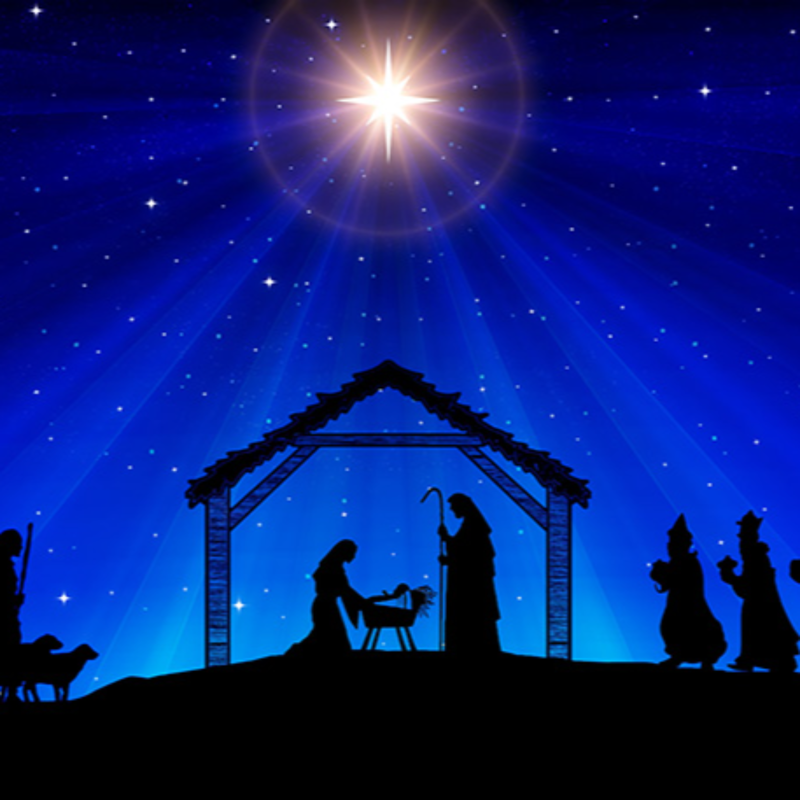 Rock Solid Devotionals