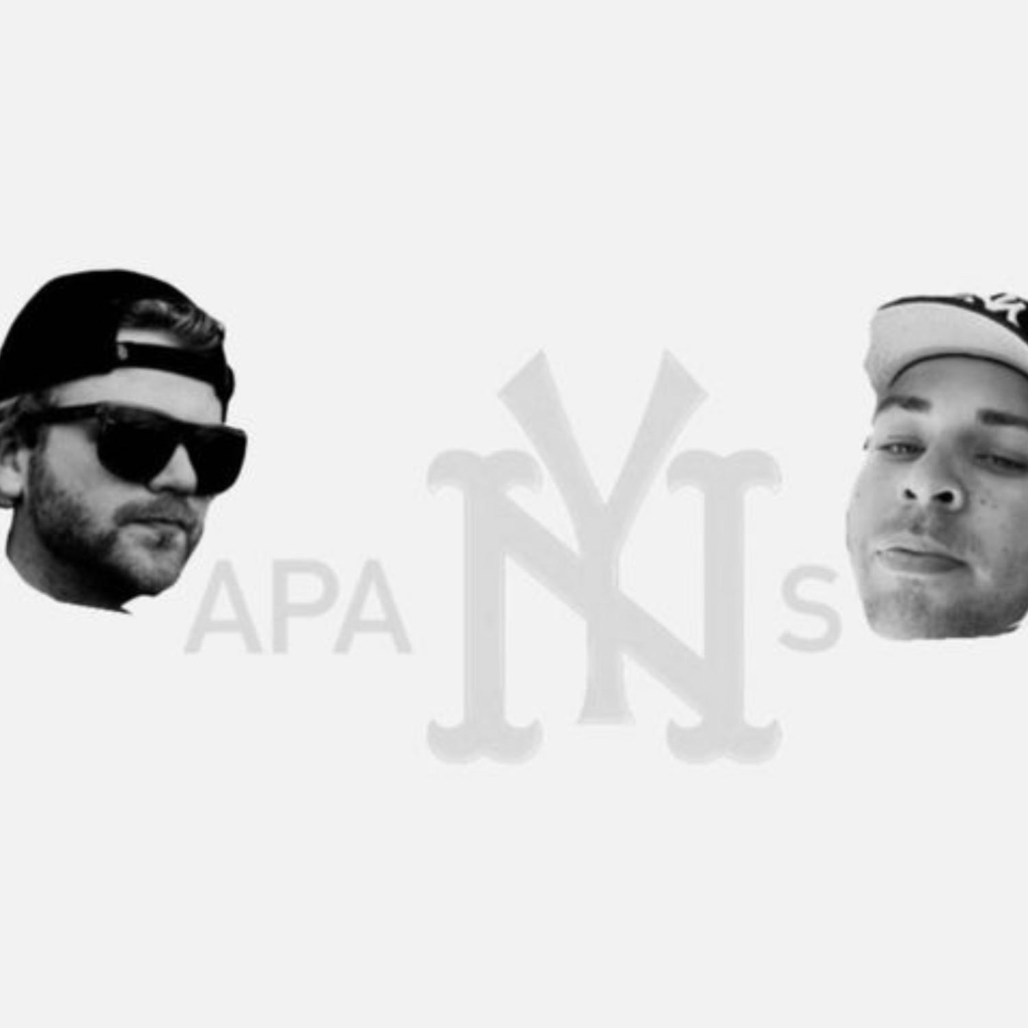 APANYS