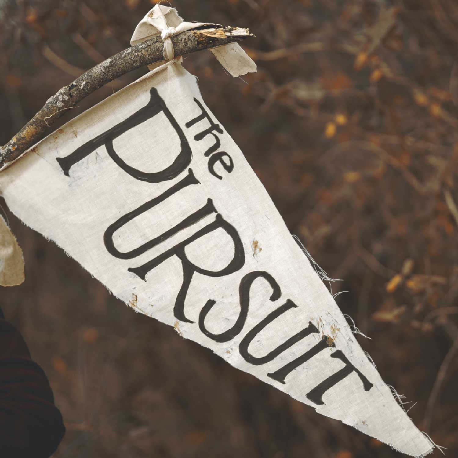 The Pursuit of Perfection III