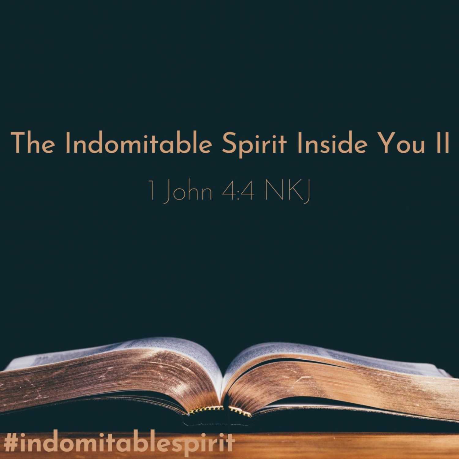 The Indomitable Spirit Inside You II