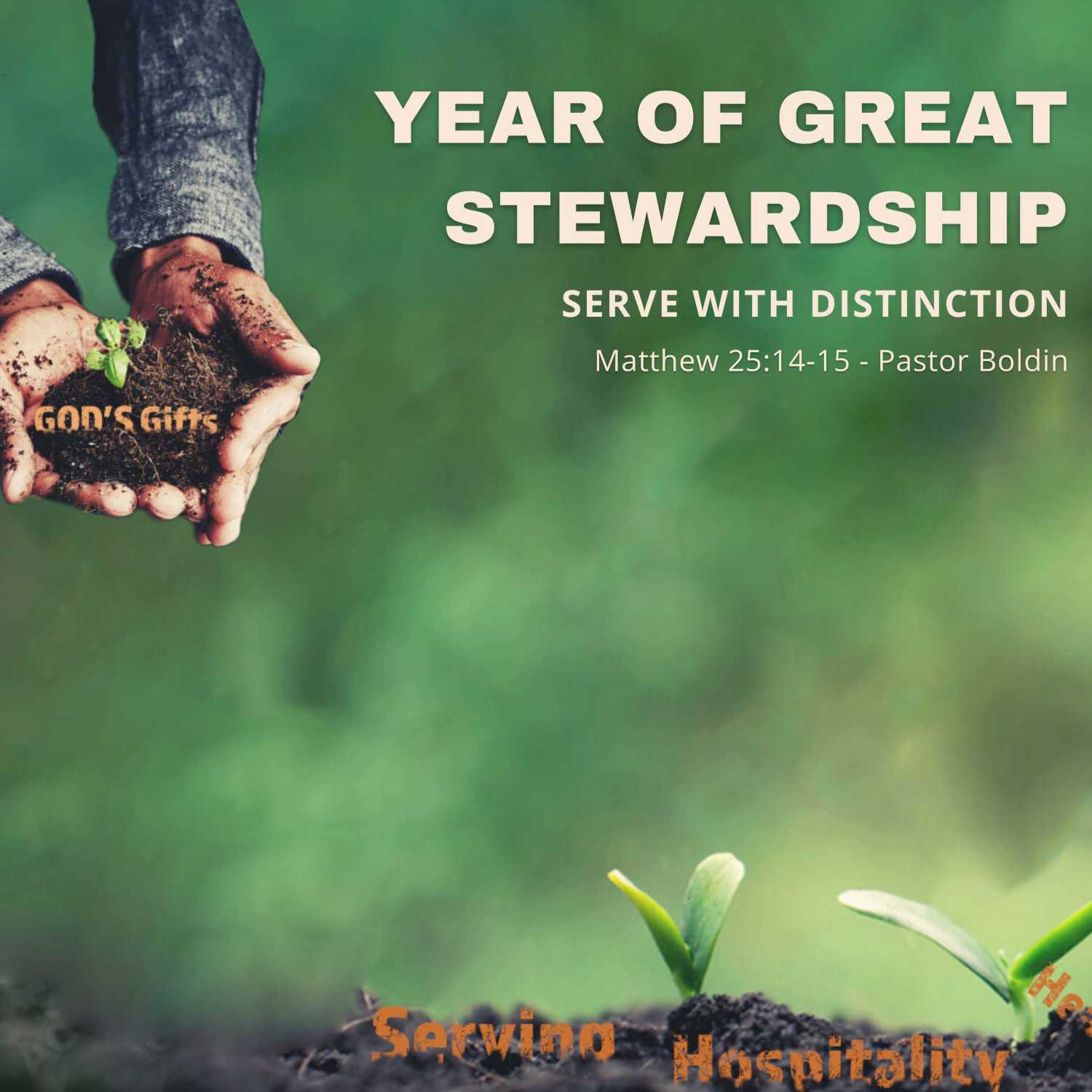 Year of Great Stewardship