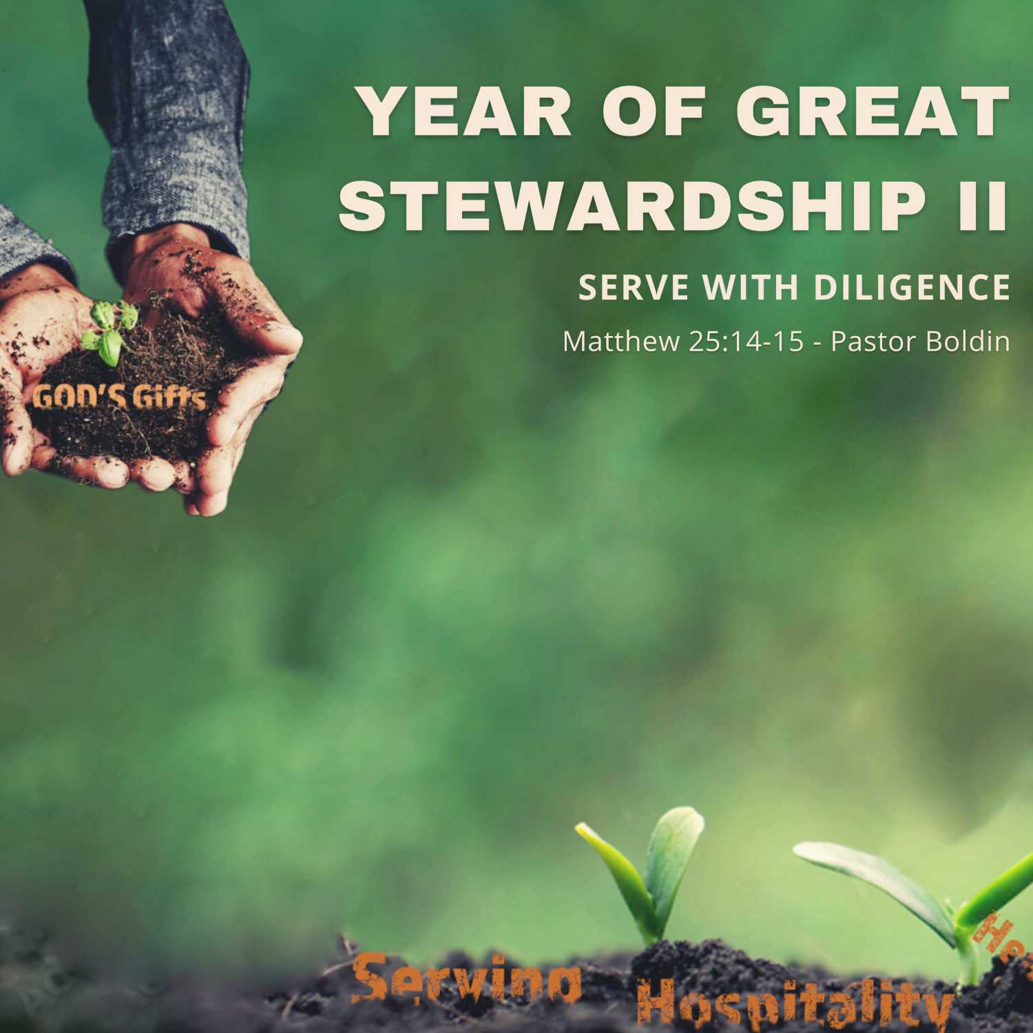 The Year of Great Stewardship II
