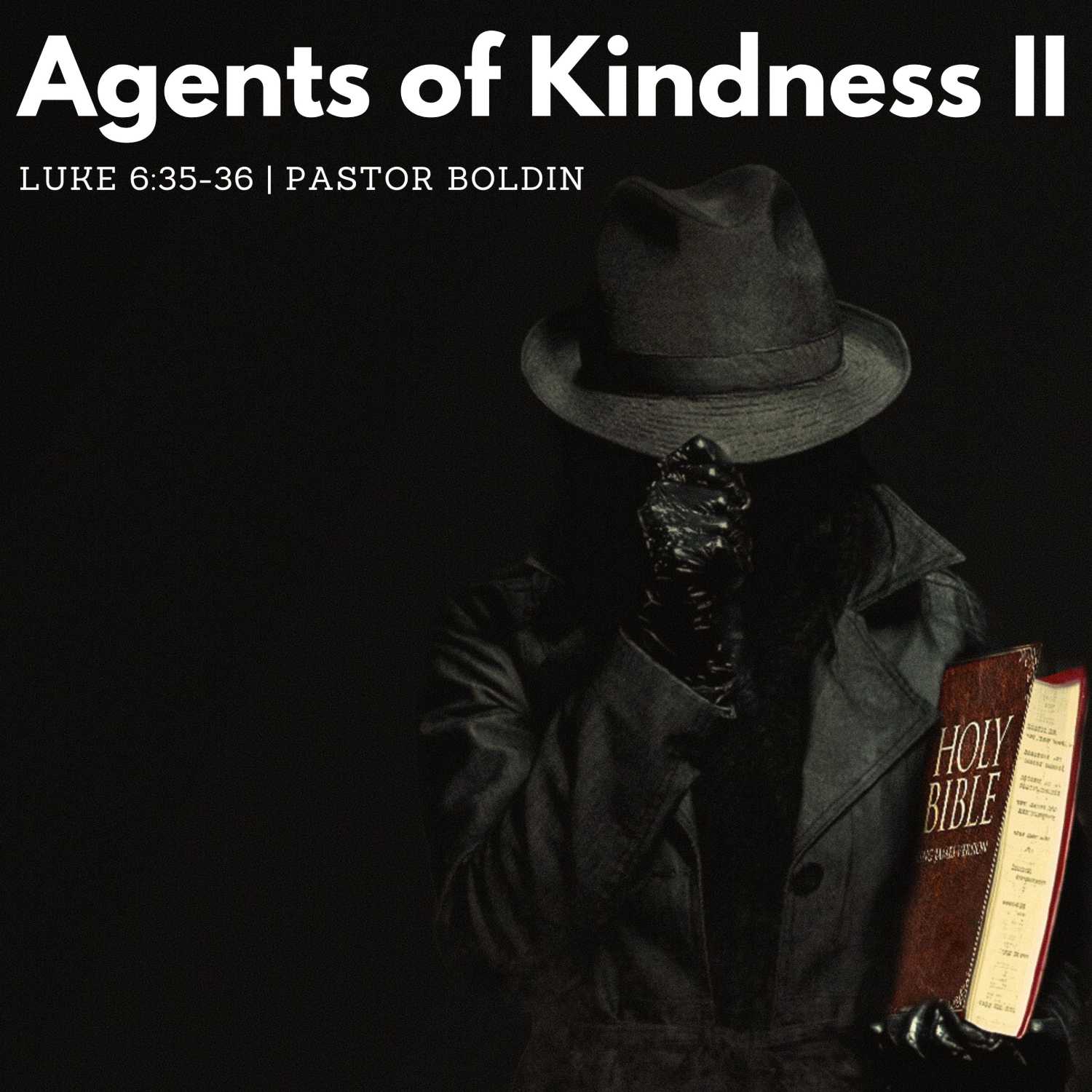 Agents of Kindness II