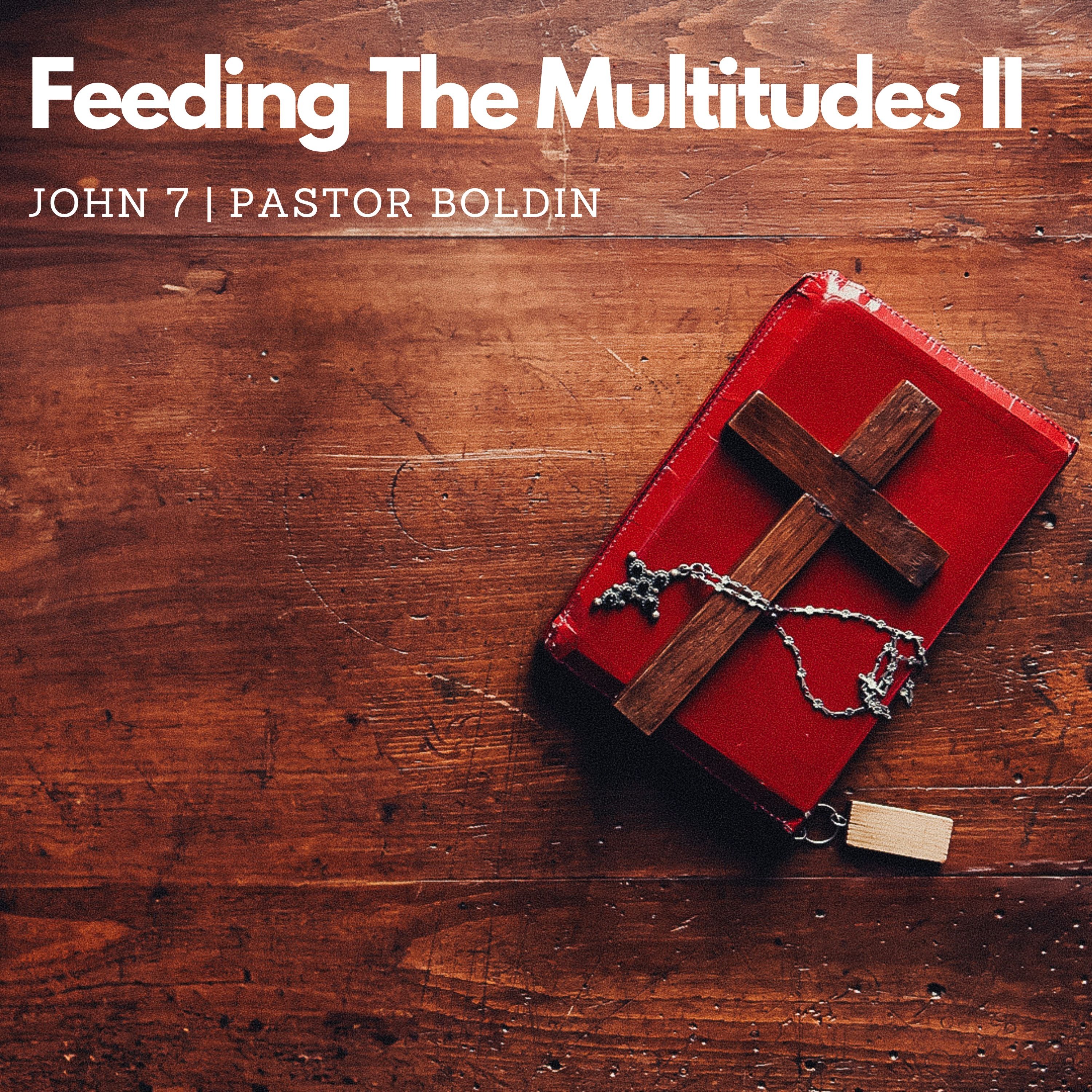 Feeding The Multitudes II
