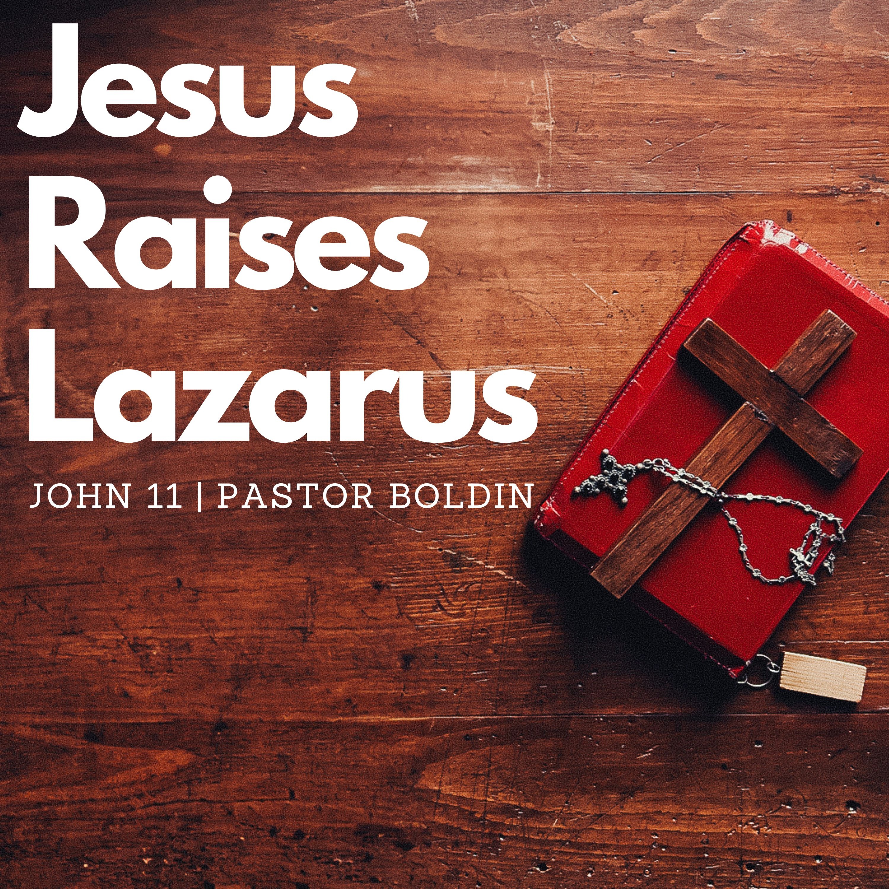 Jesus…Raises Lazarus