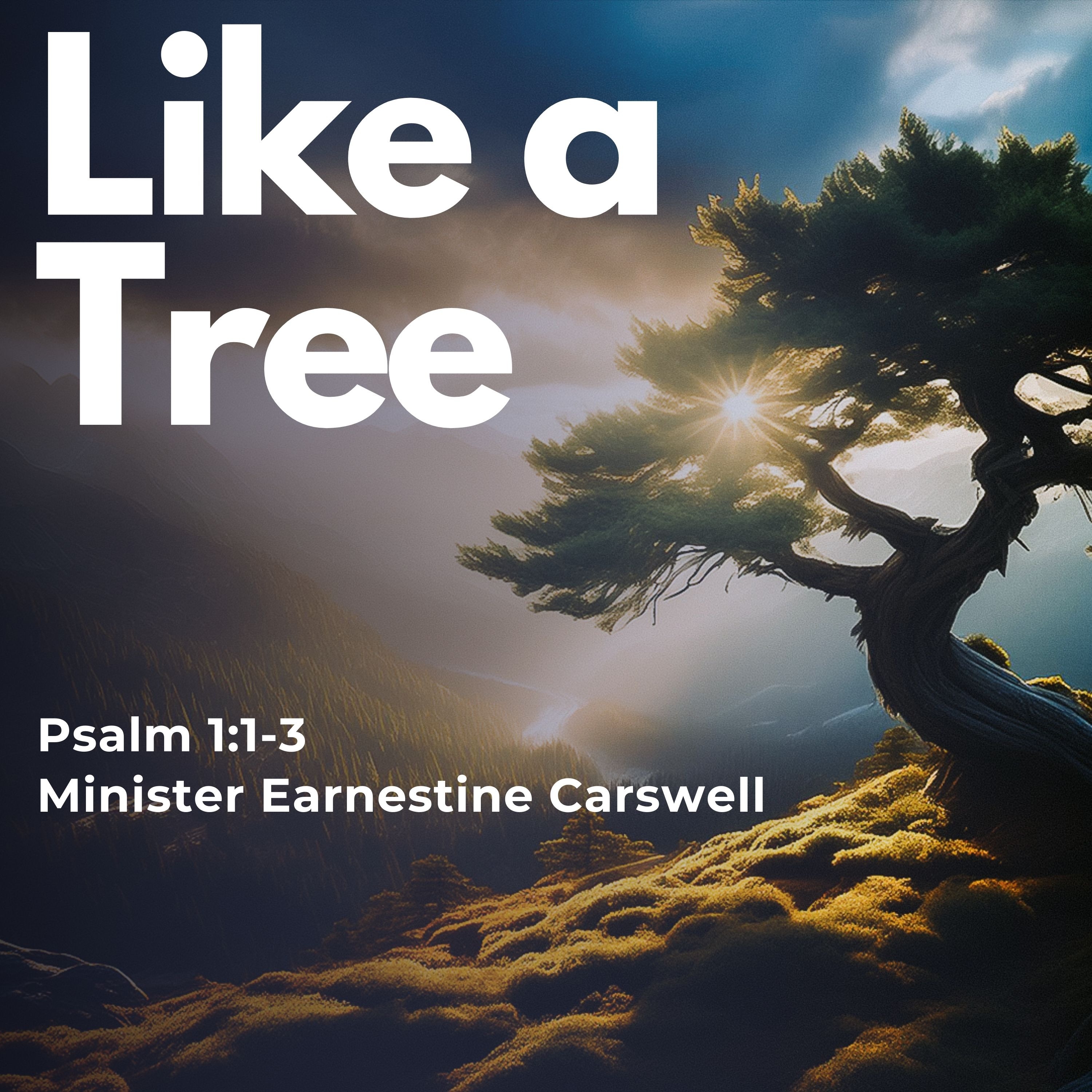 Like A Tree
