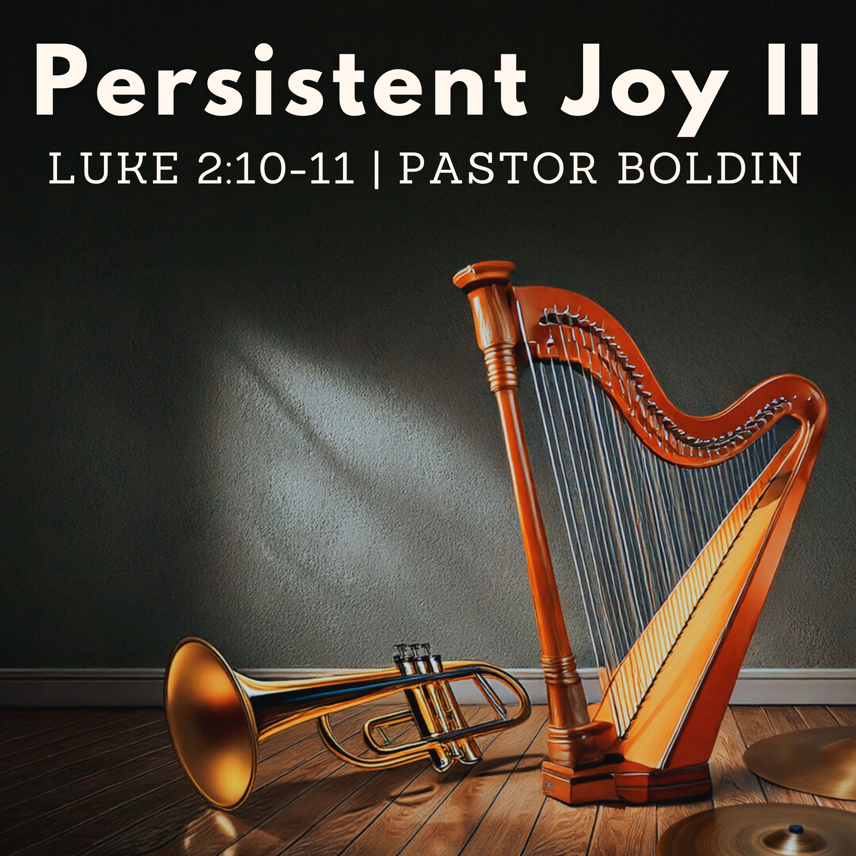 Persistent Joy II