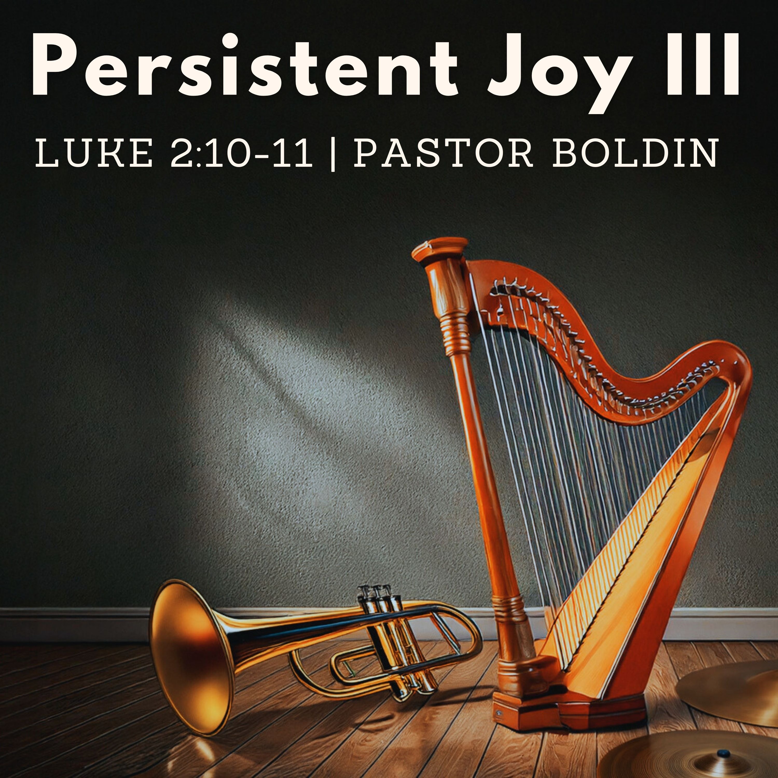 Persistent Joy III