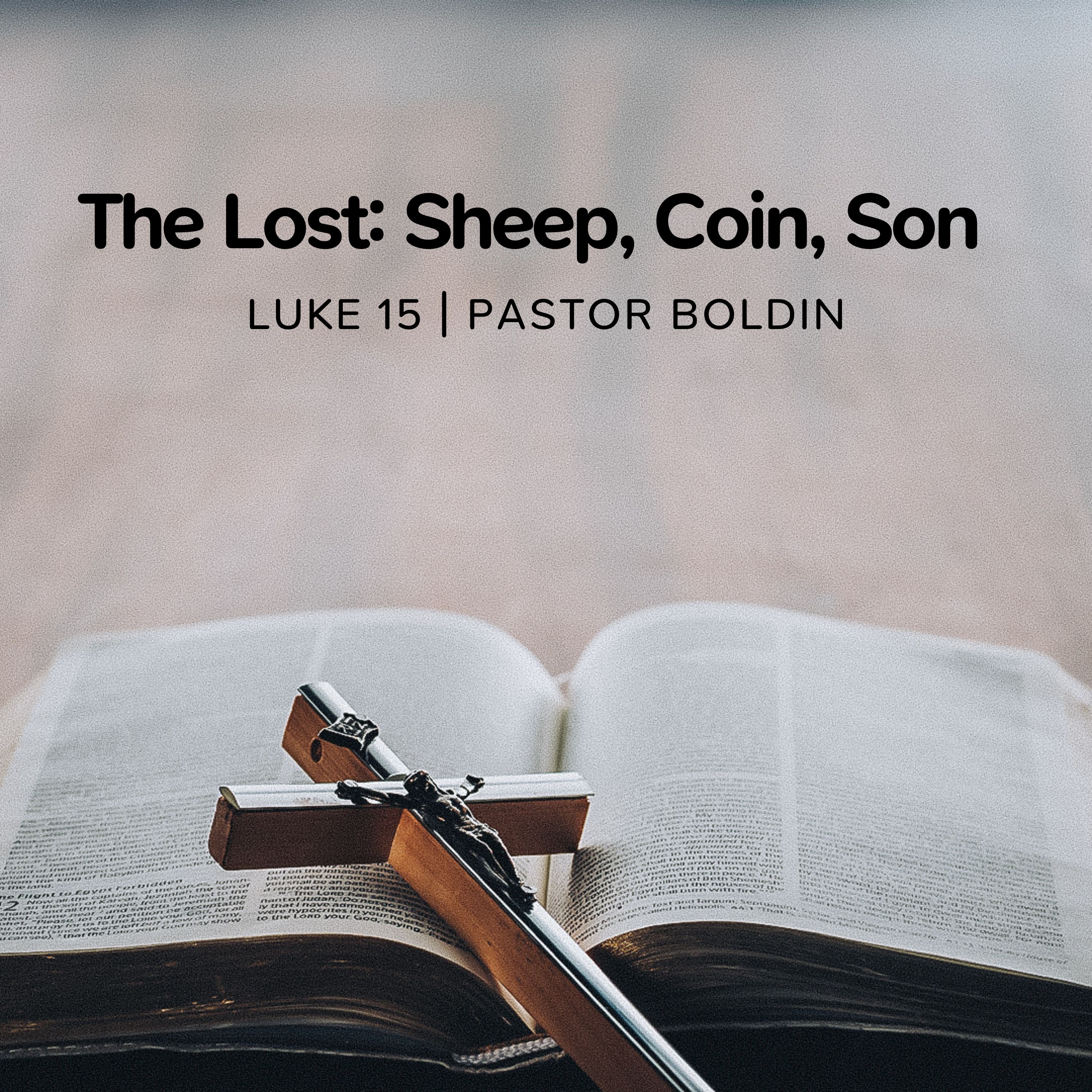The Lost: Sheep, Coin, Son