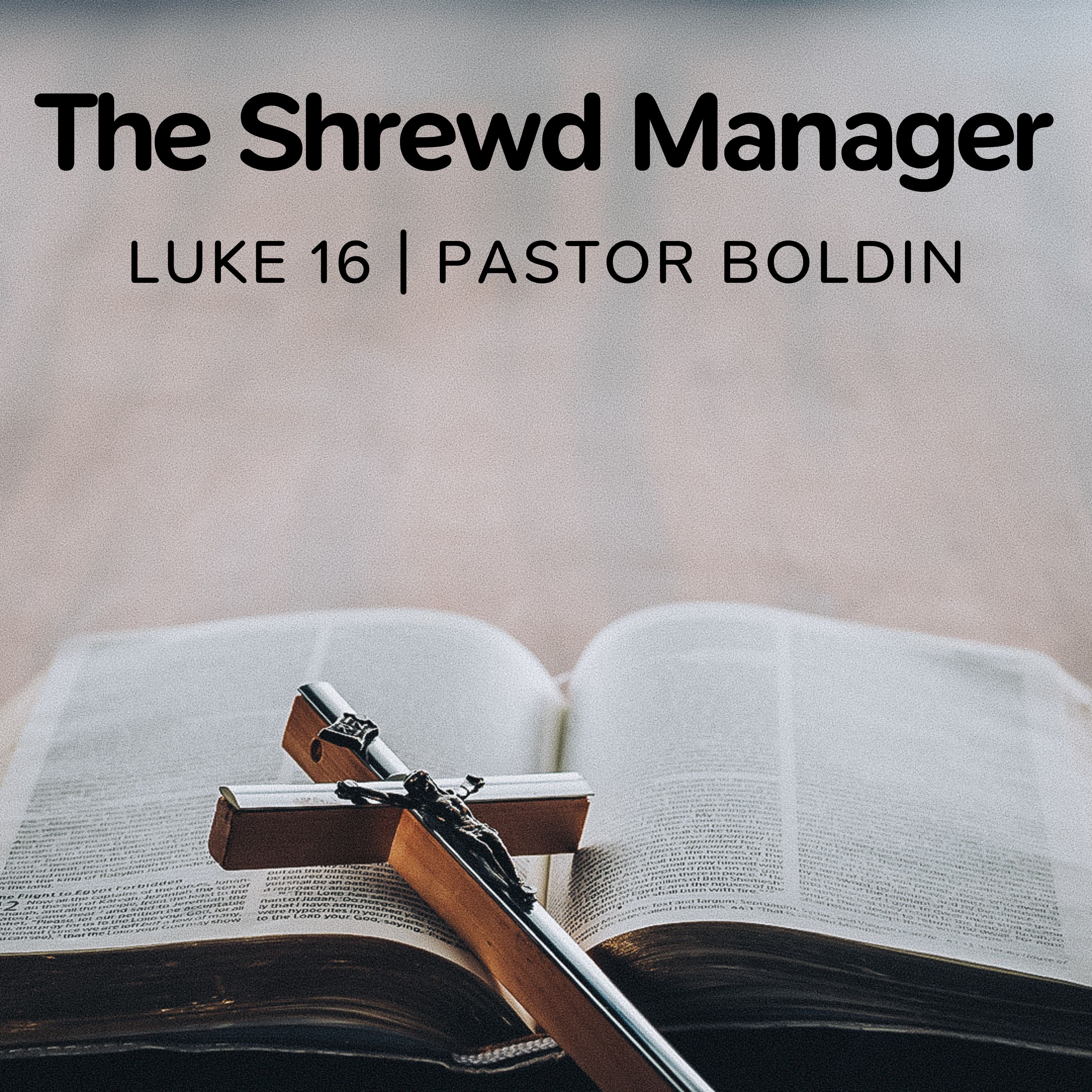The Shrewd Manager