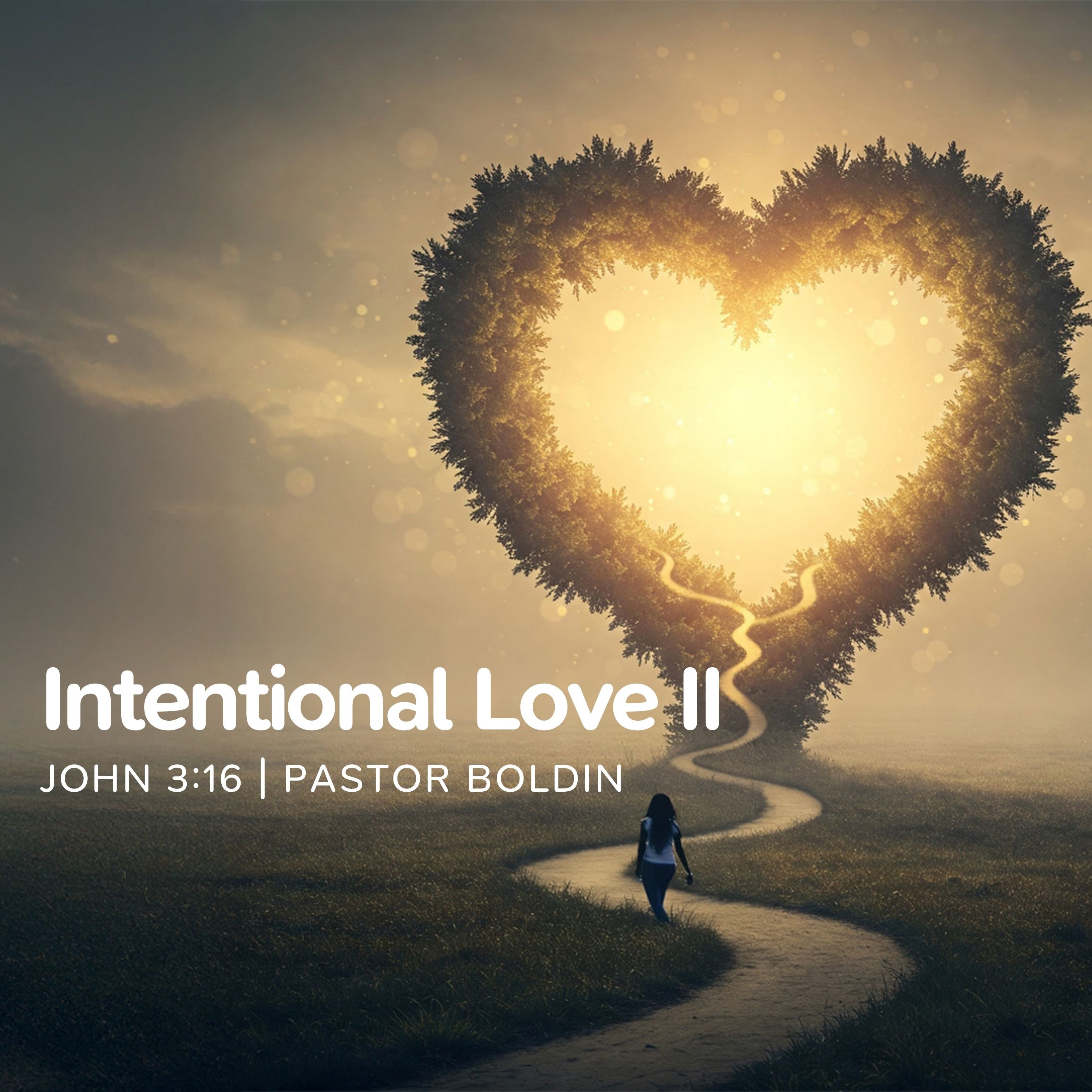 Intentional Love II