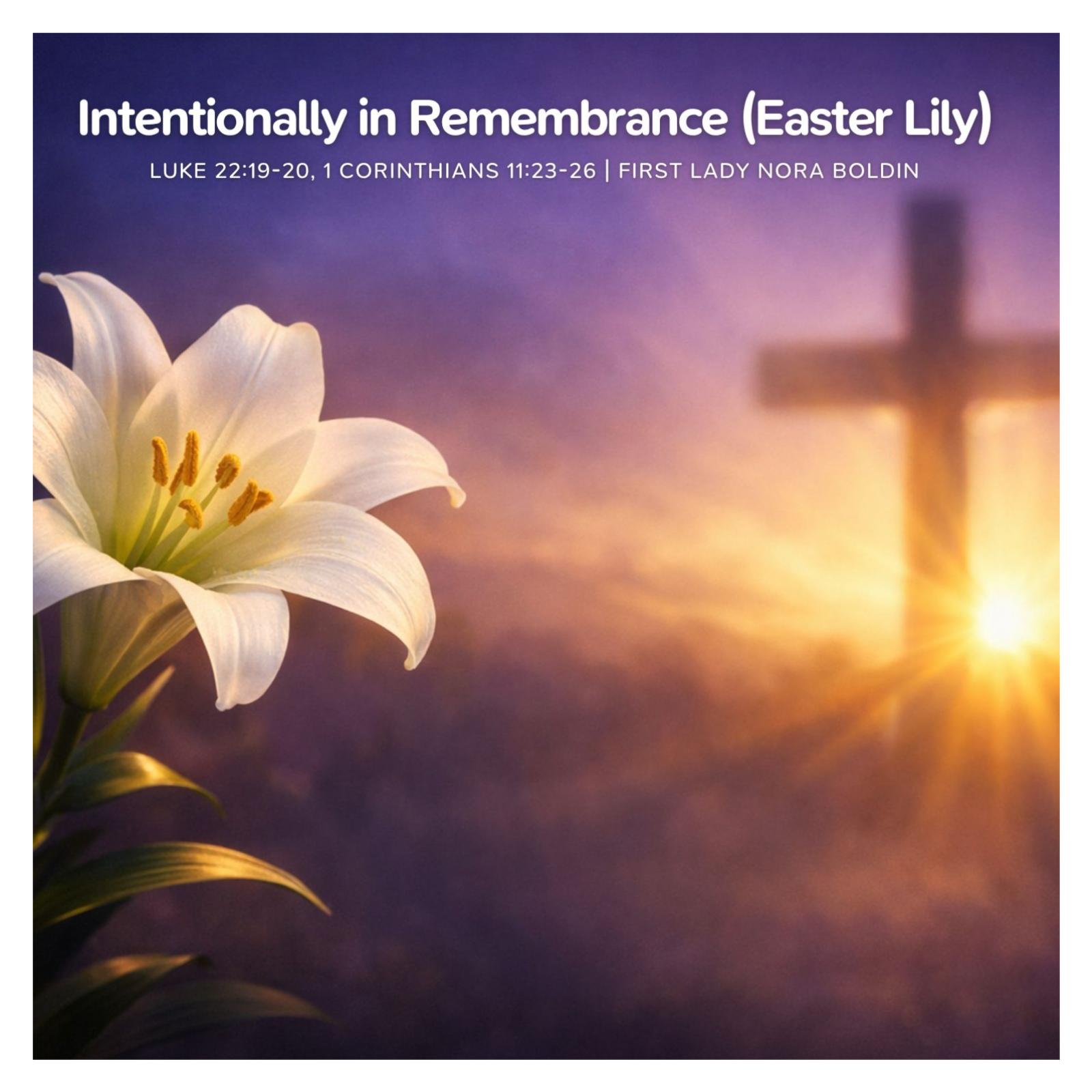 Intentionally in Remembrance (Easter Lily) episode artwork