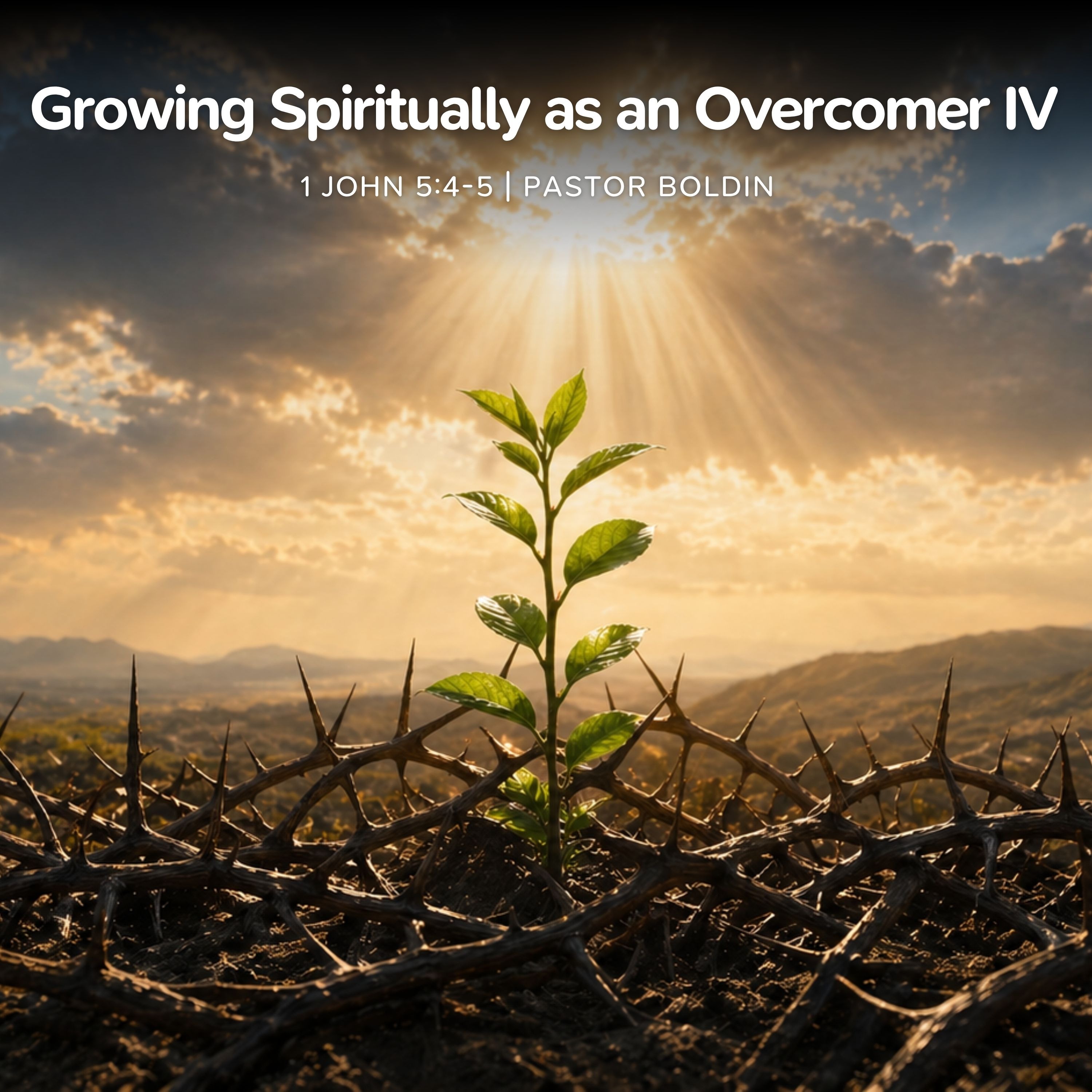 Growing Spiritually As An Overcomer IV  episode artwork
