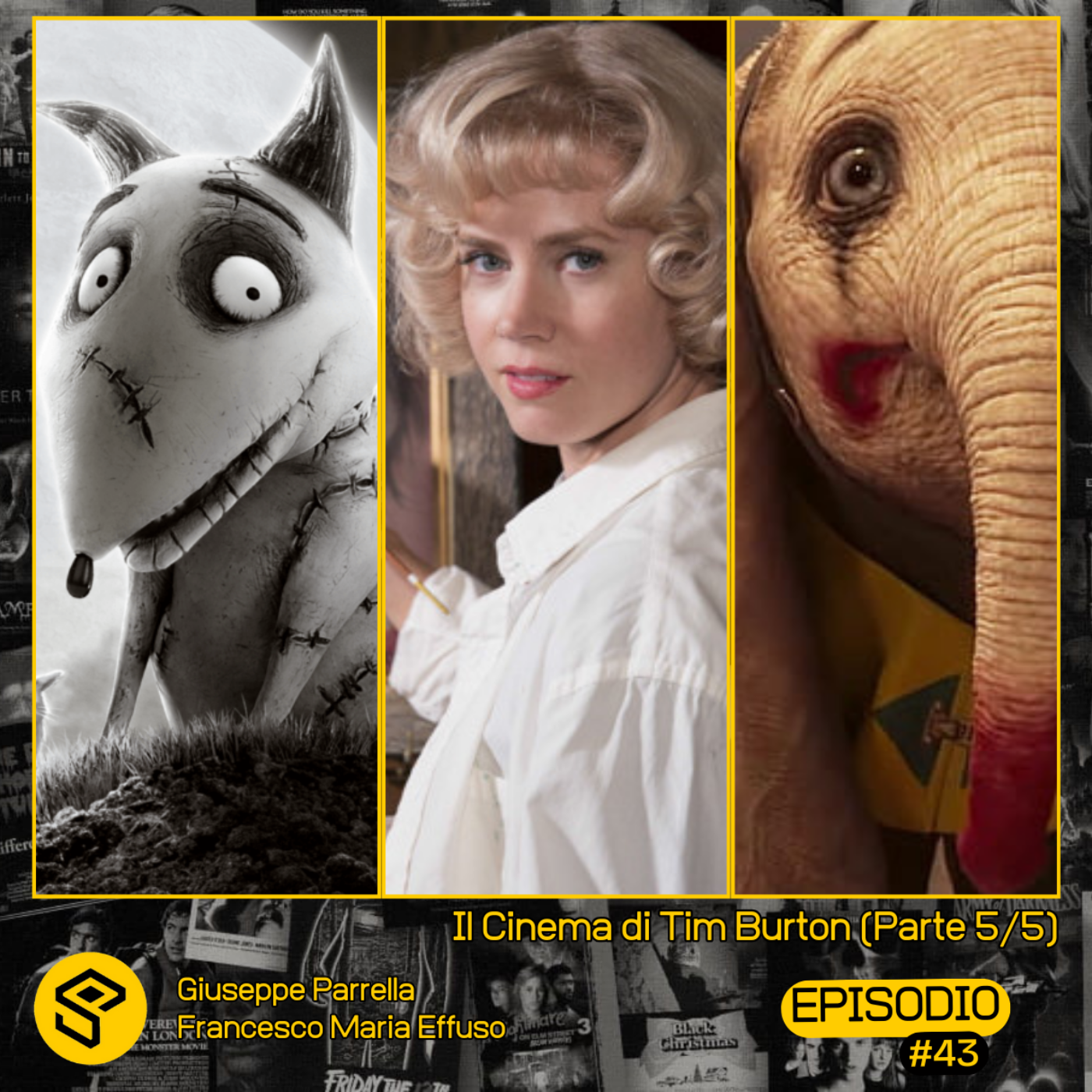 Sacher Podcast