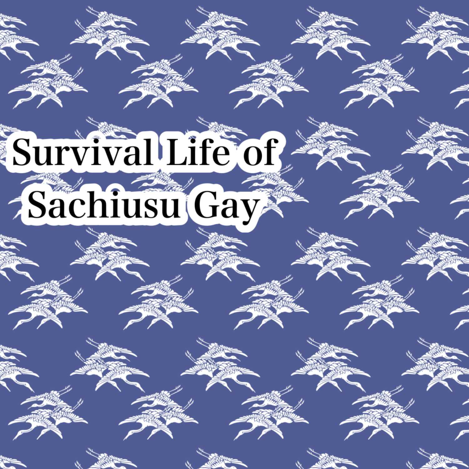 テスト配信 テスト配信