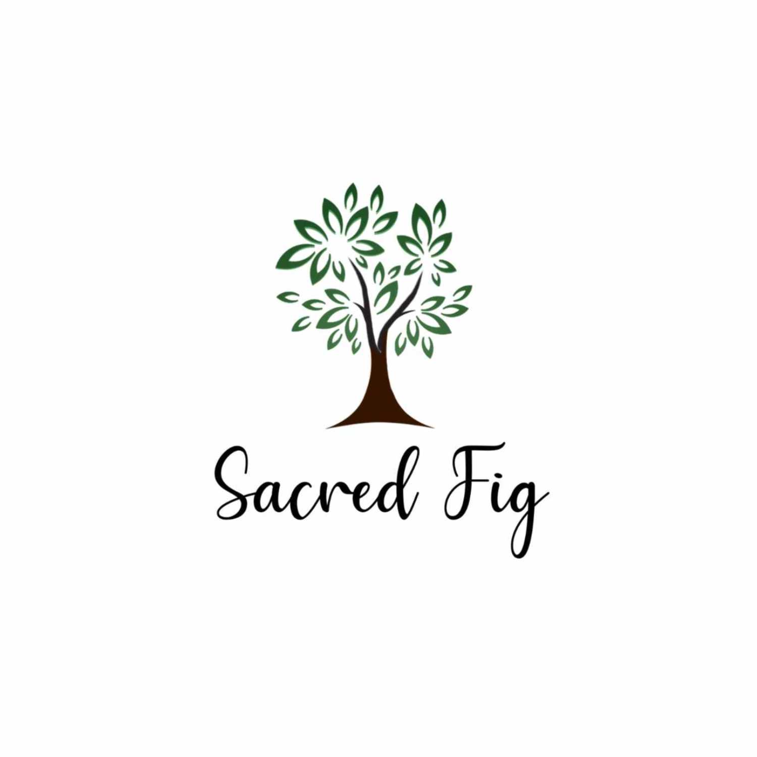 Sacred Fig