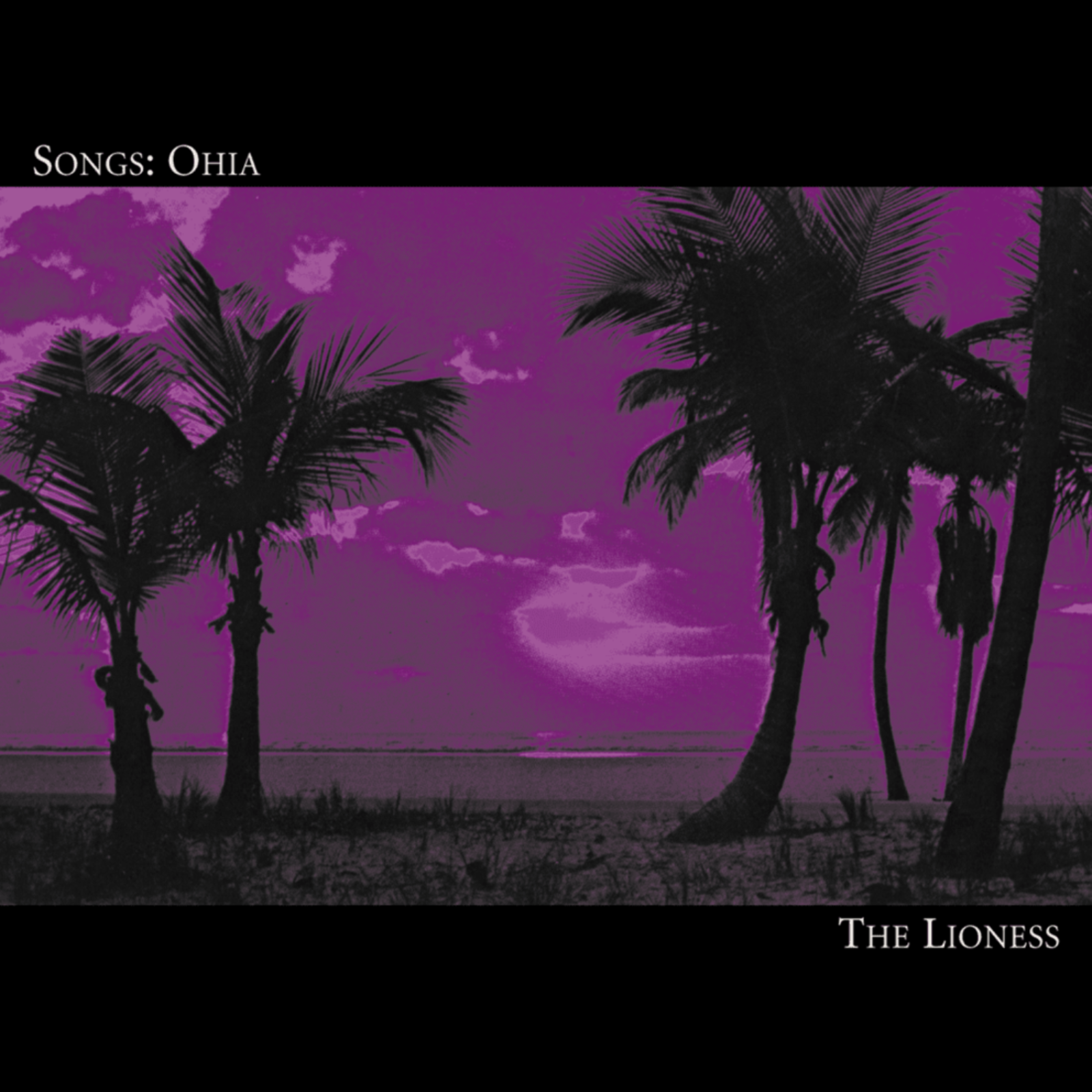 Songs: Ohia - The Lioness [May 17, 2019] episode artwork