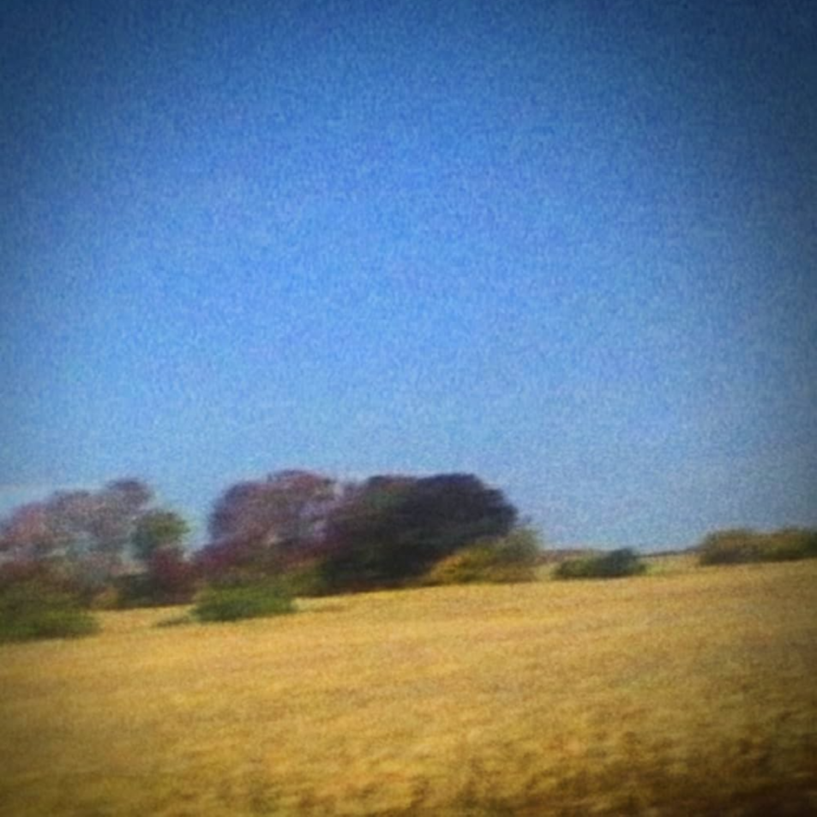 Sun Kil Moon - Benji [August 9, 2019] episode artwork