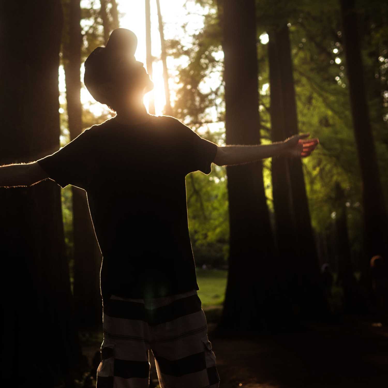 Shedding Light on Feelings and Emotions