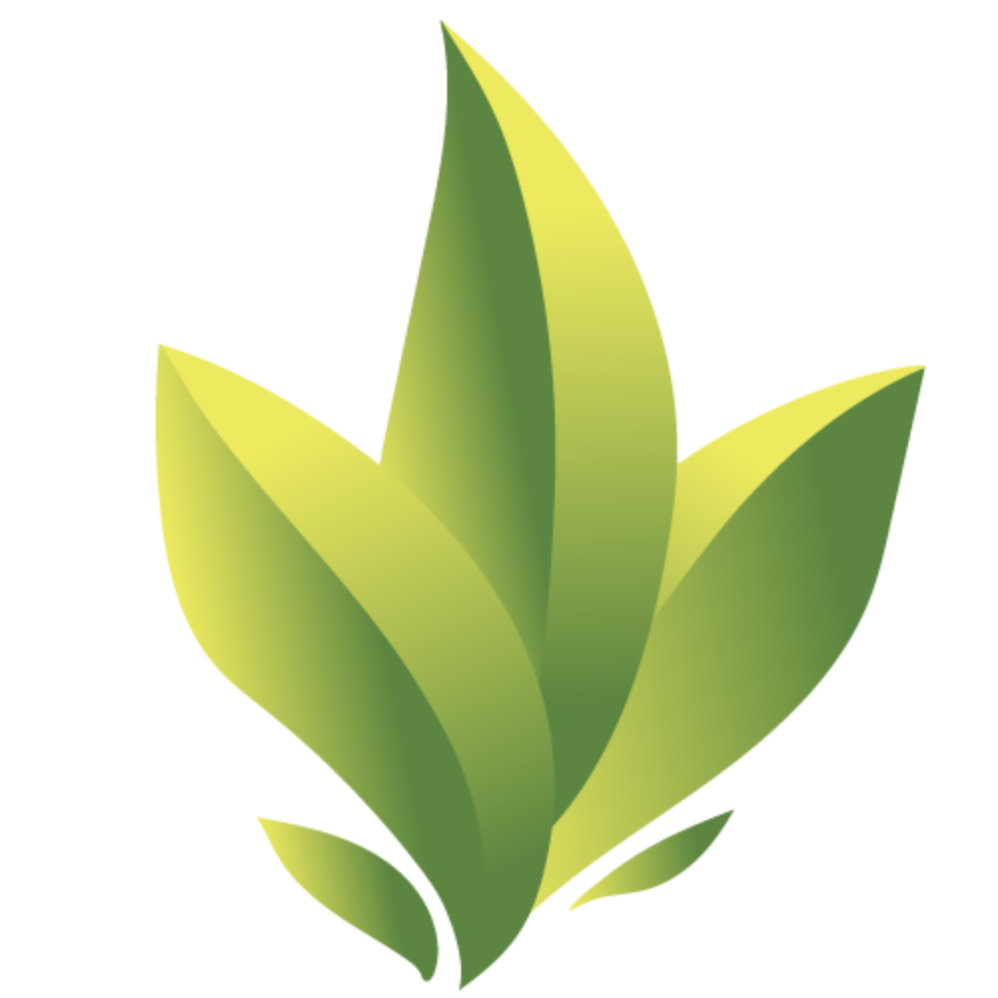 Saleh Tejarat Sharif Products