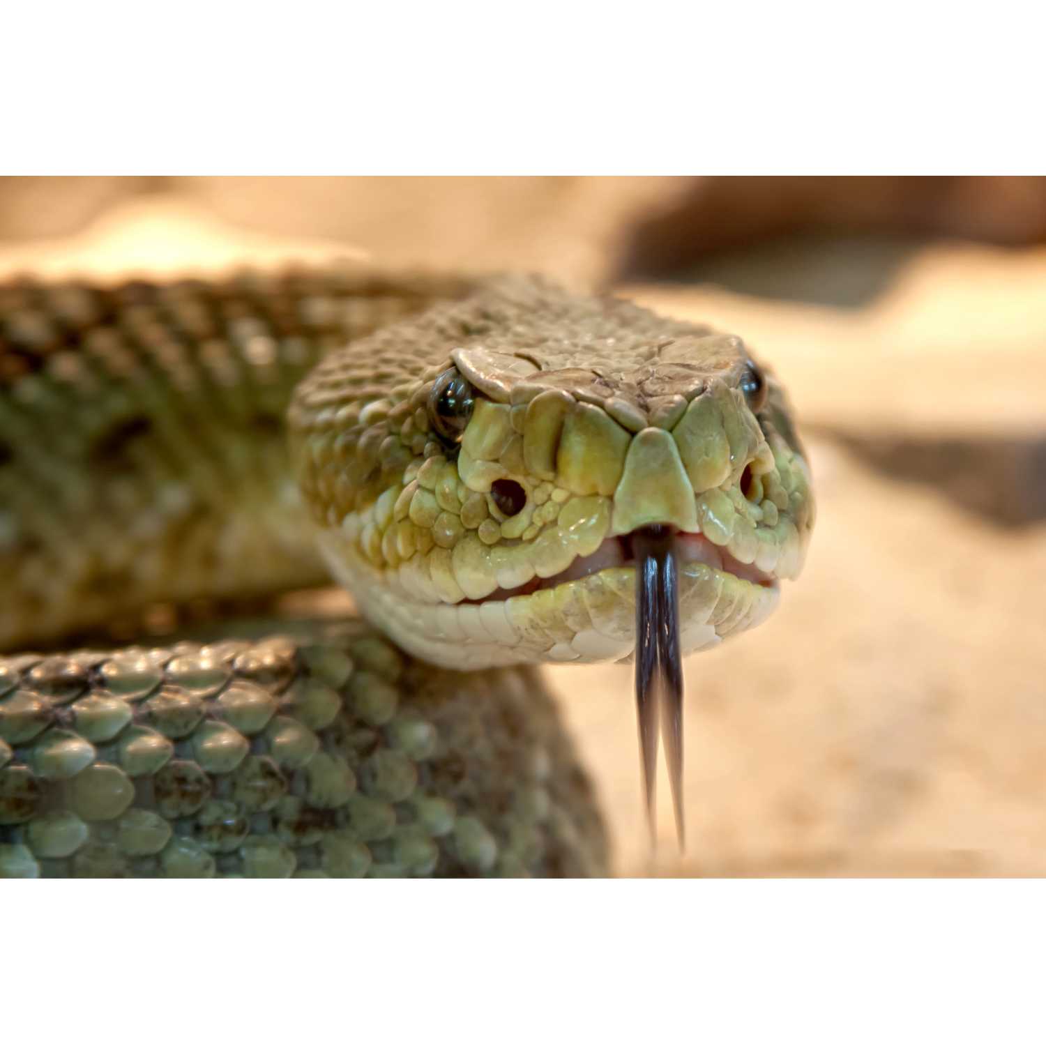 What is a salesperson?