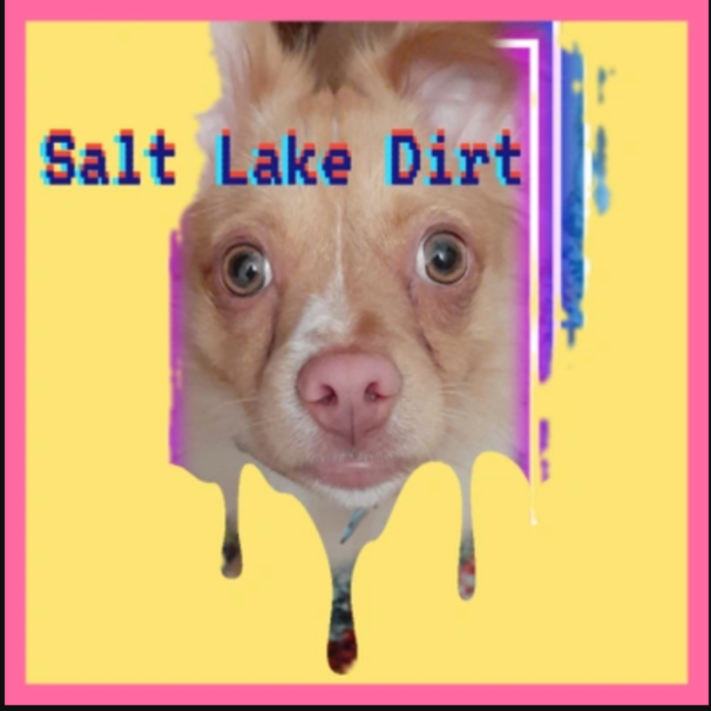 Salt Lake Dirt