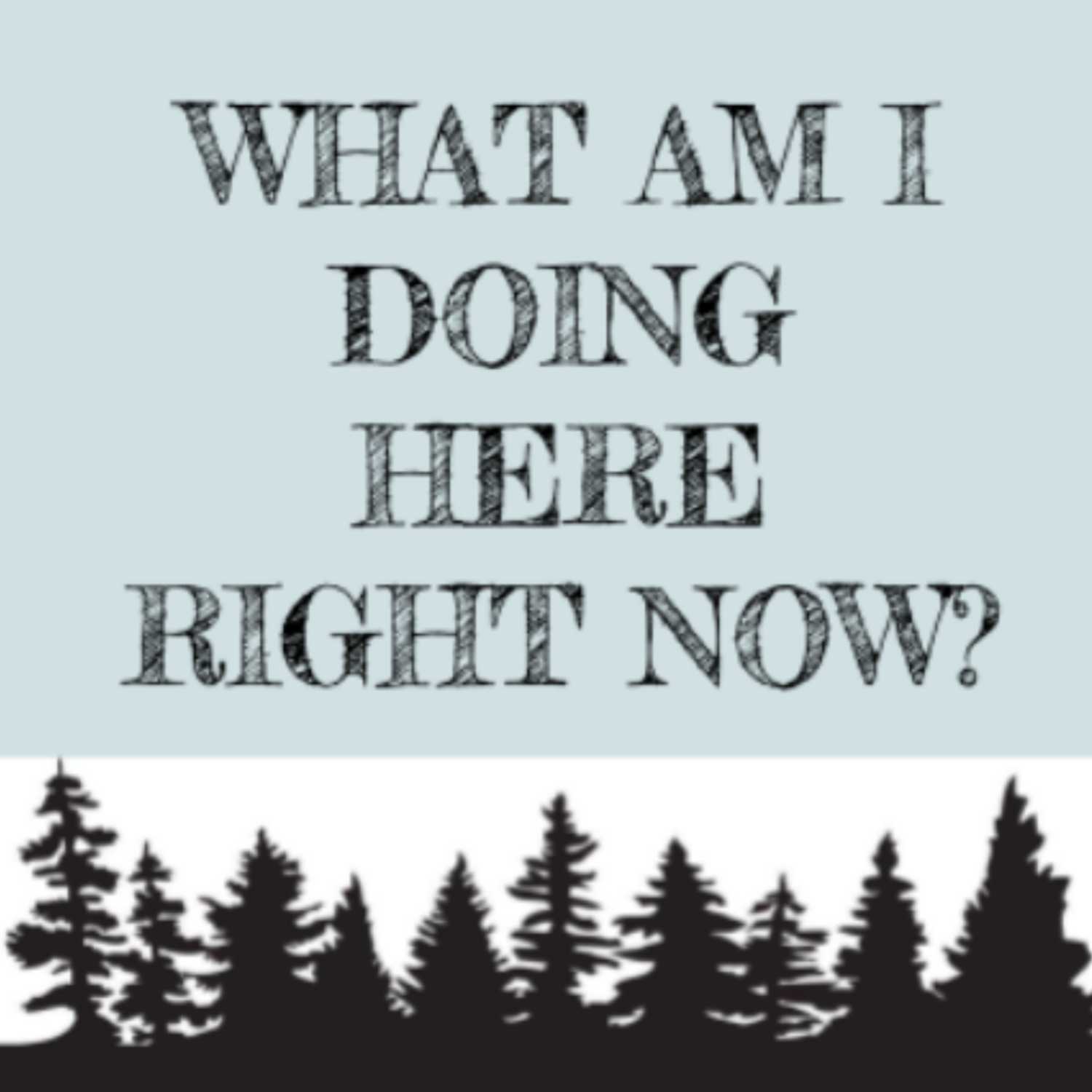 What Am I Doing Here Right Now?