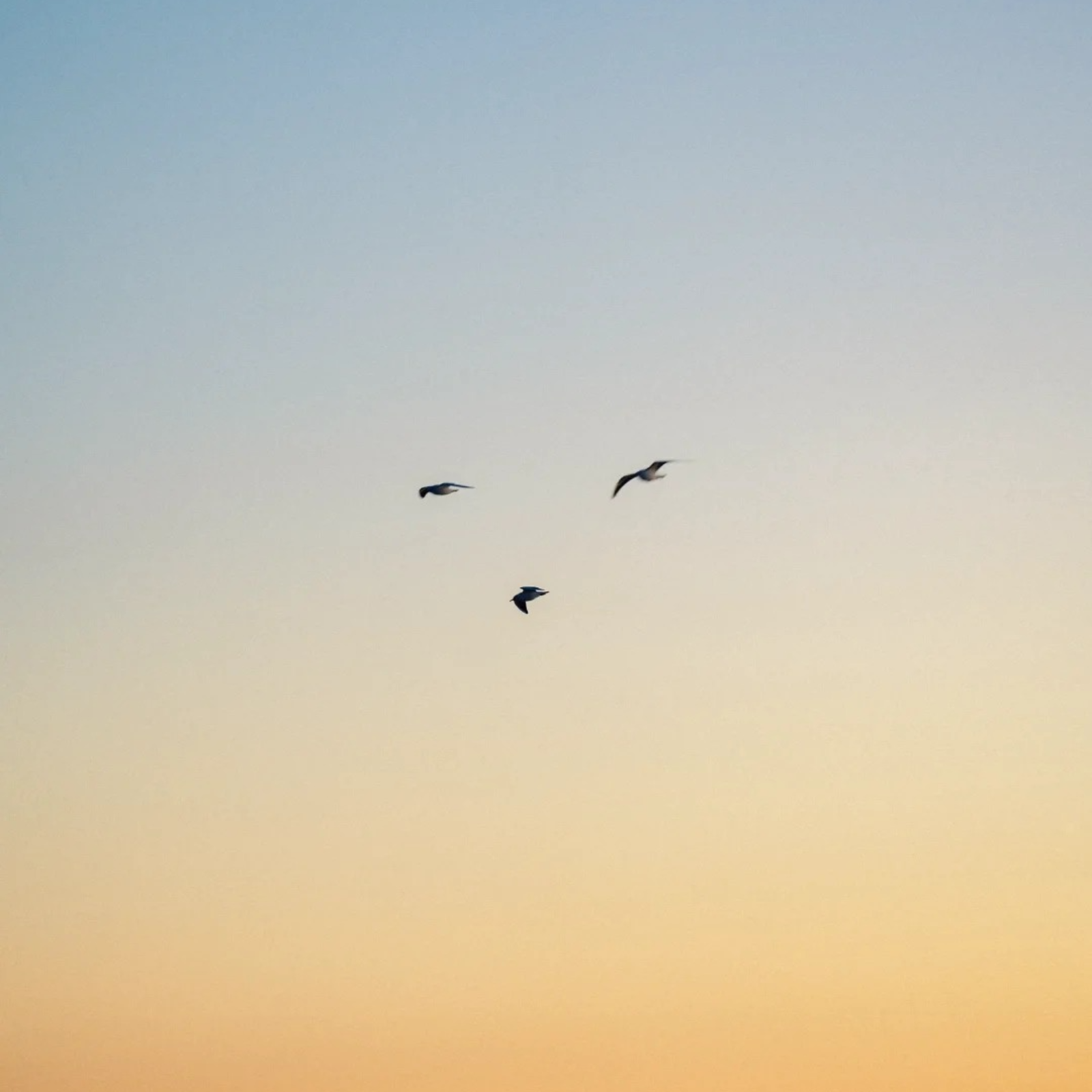 安静低调⚠️不要在国内平台评论区提及本站 会被封⚠️《必听推荐》在简介❗️新剧等完结