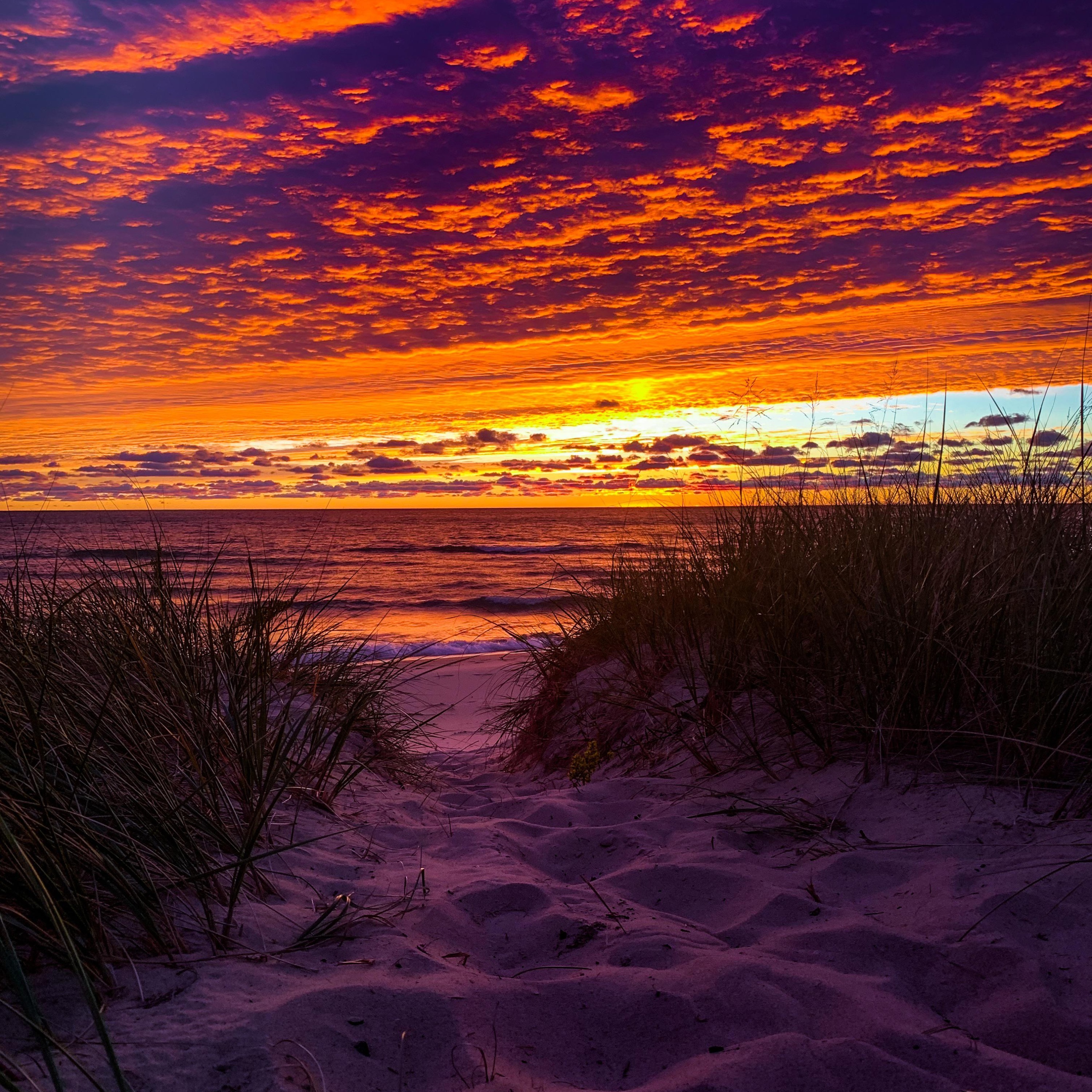 398 诡案追凶 第一季（刘北辰、孙晔）