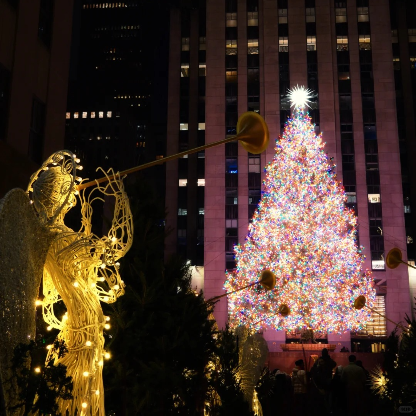 2066 《灵魂缓刑》【1～5】（景向谁依＆林予曦）